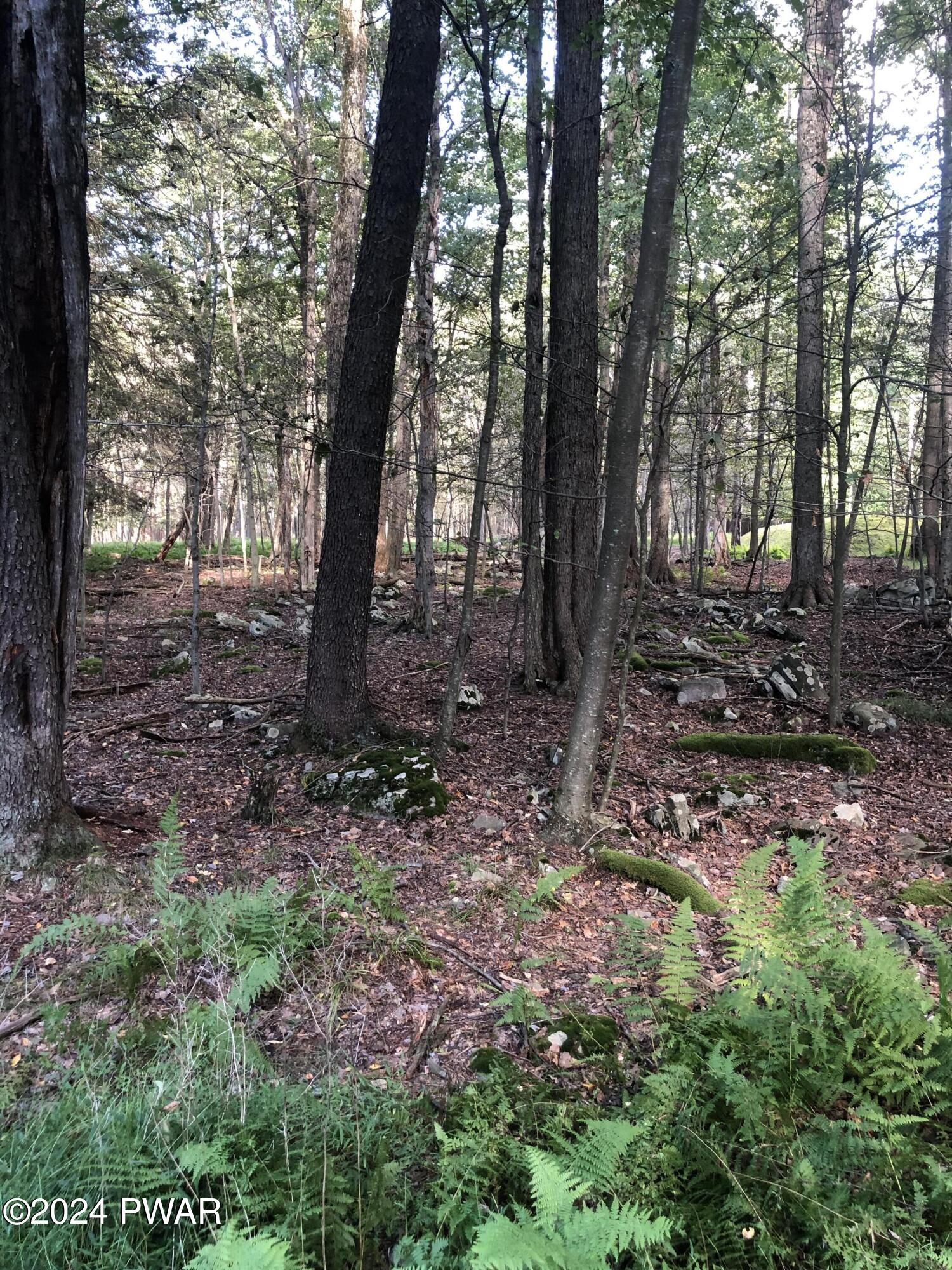 180 Apollo Drive, Gouldsboro, Pennsylvania image 11