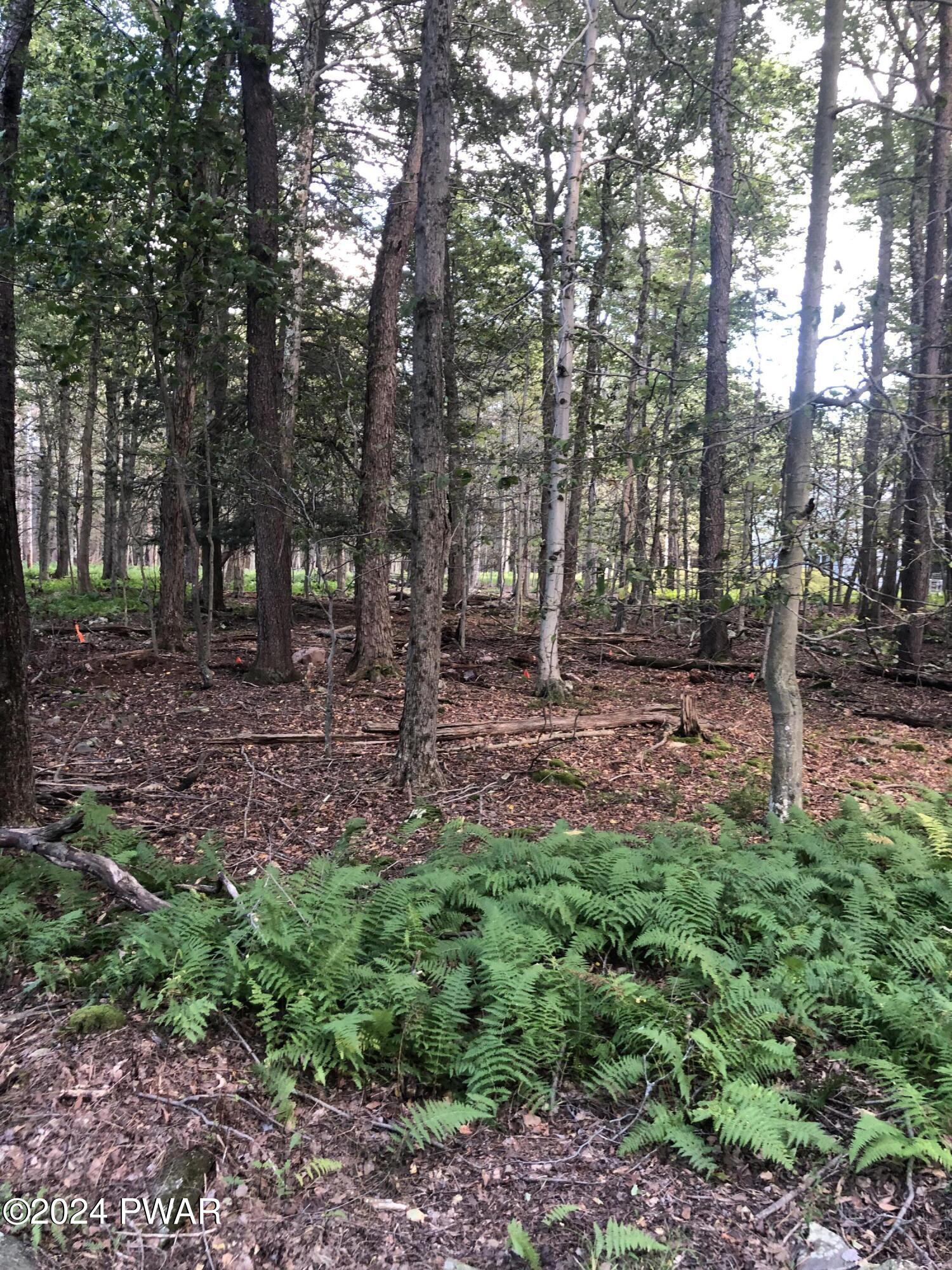 180 Apollo Drive, Gouldsboro, Pennsylvania image 10