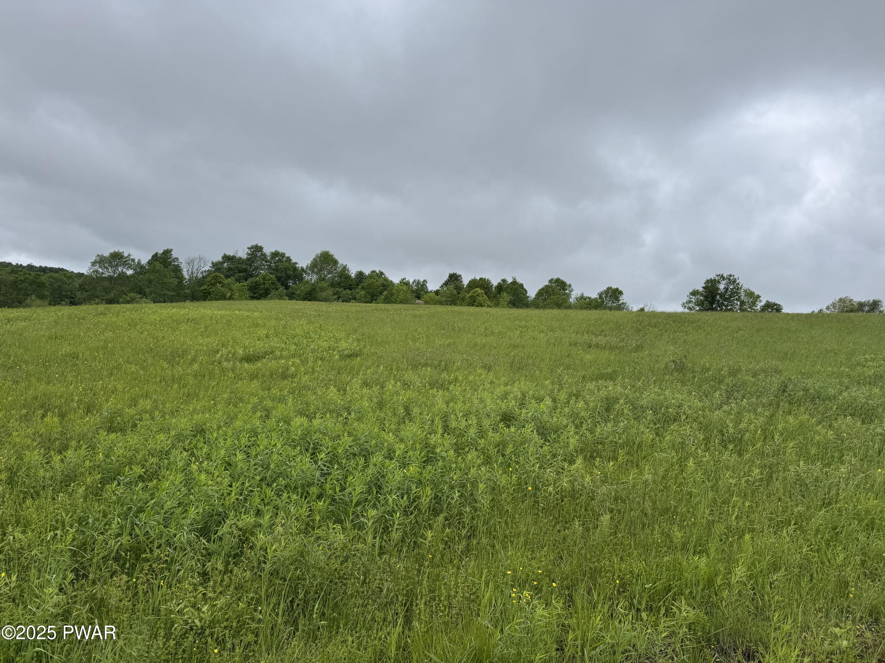 Delaware Drive, Damascus, Pennsylvania image 13