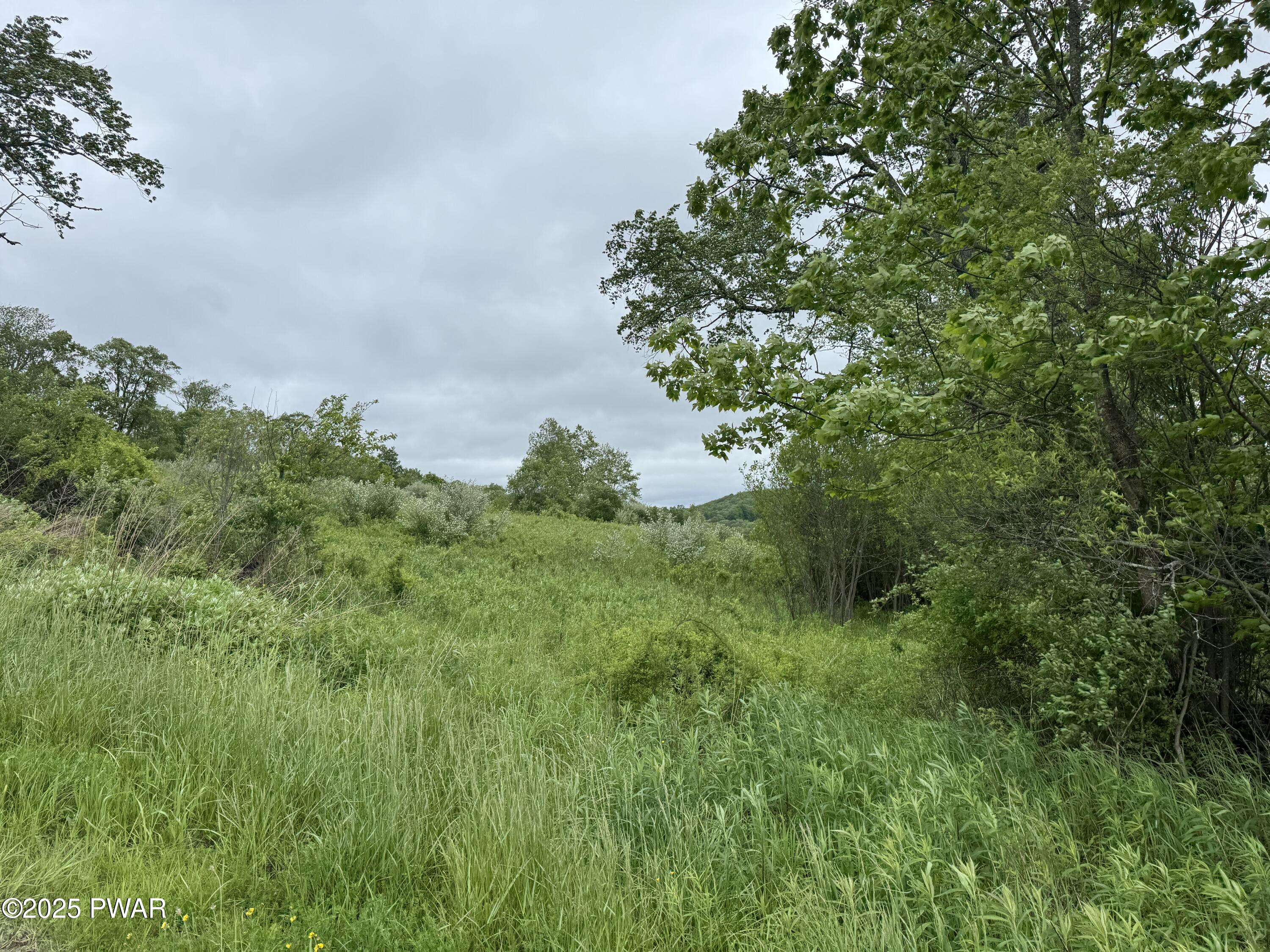 Delaware Drive, Damascus, Pennsylvania image 12