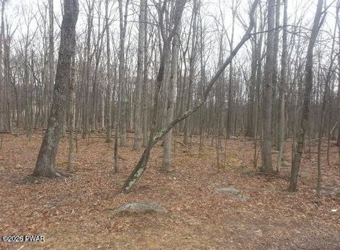 Vacant Land For Sale - LOT 268 Evergreen Court<br/> Pike County, Lackawaxen, PA 18435