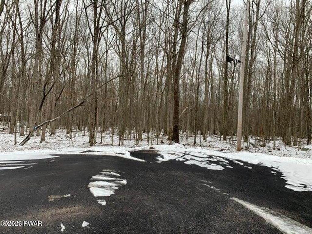 Photo of 268 Evergreen Court, Lackawaxen, PA 18435 (MLS # PW260492)