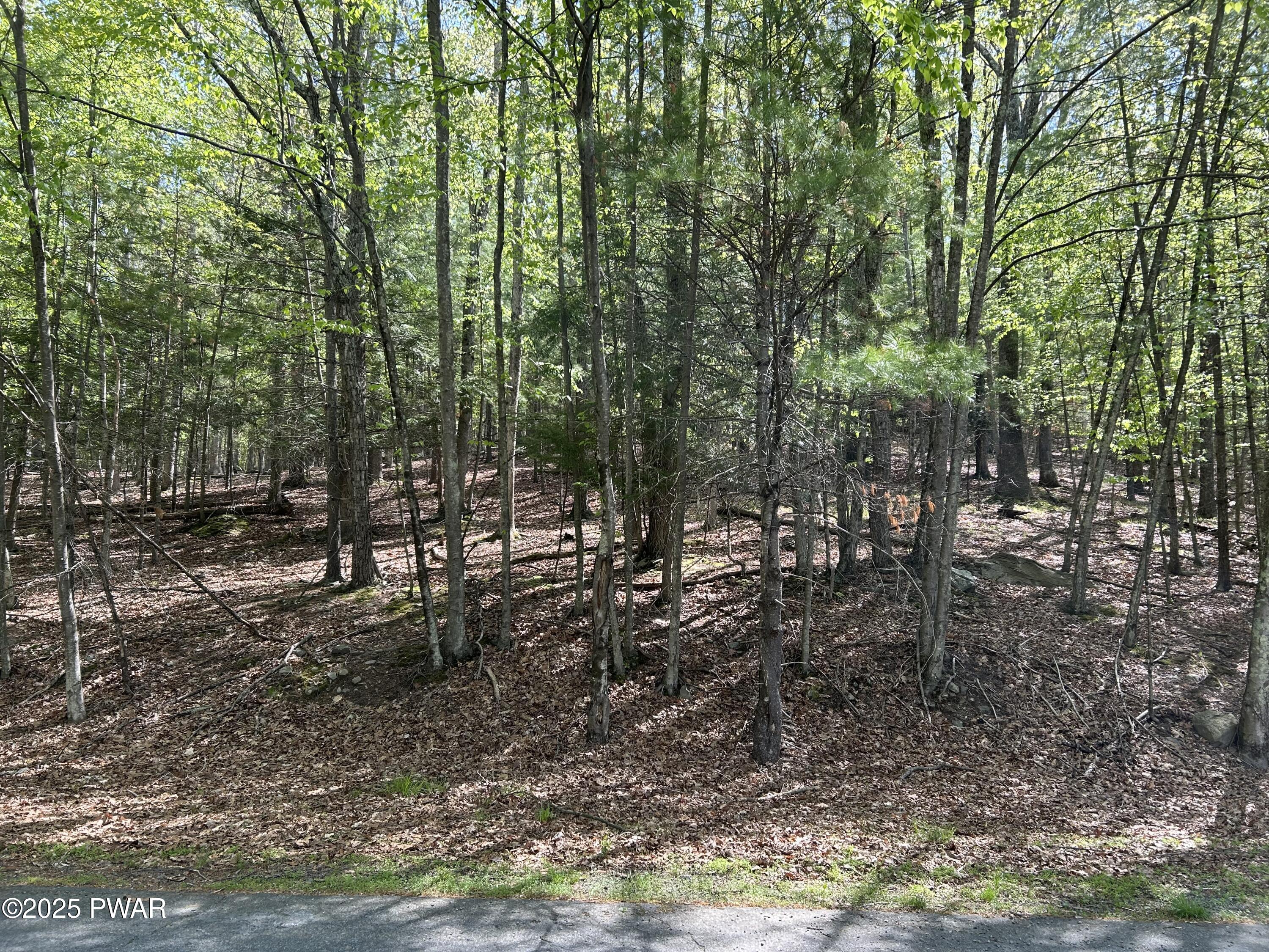 Lot 9 &10 Woodledge East Lake Drive, Hawley, Pennsylvania image 3