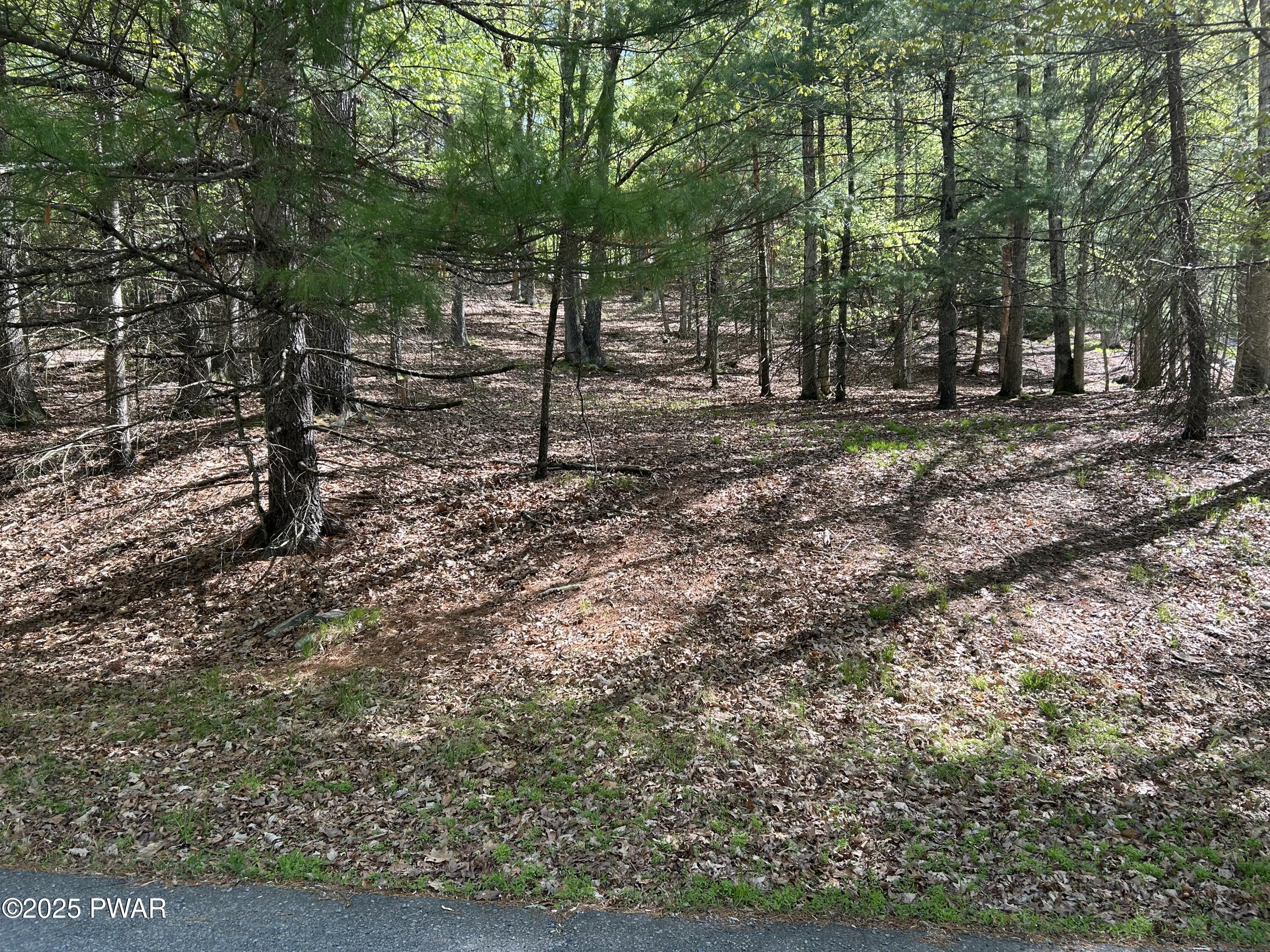 Lot 9 &10 Woodledge East Lake Drive, Hawley, Pennsylvania image 6