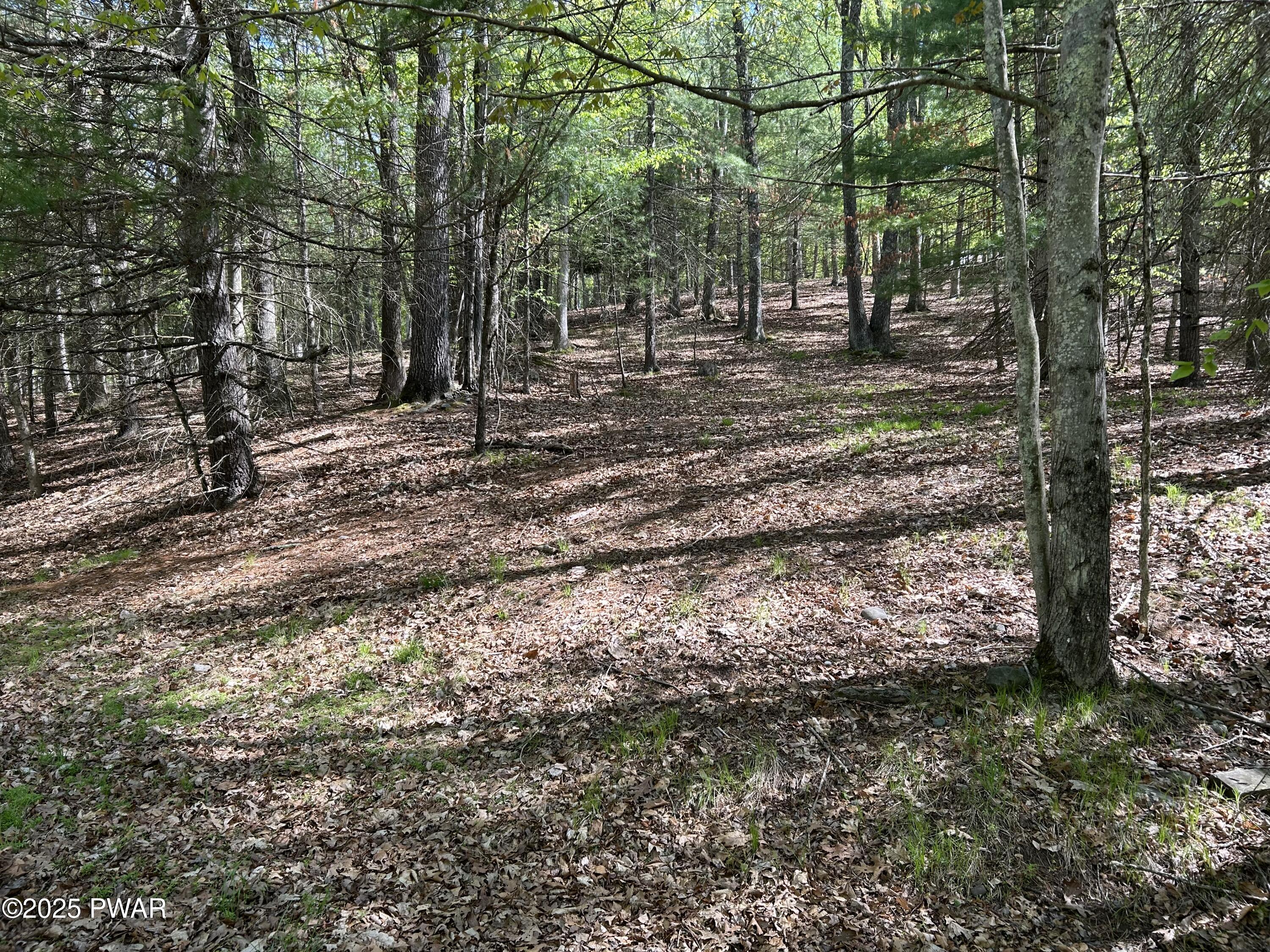 Lot 9 &10 Woodledge East Lake Drive, Hawley, Pennsylvania image 8
