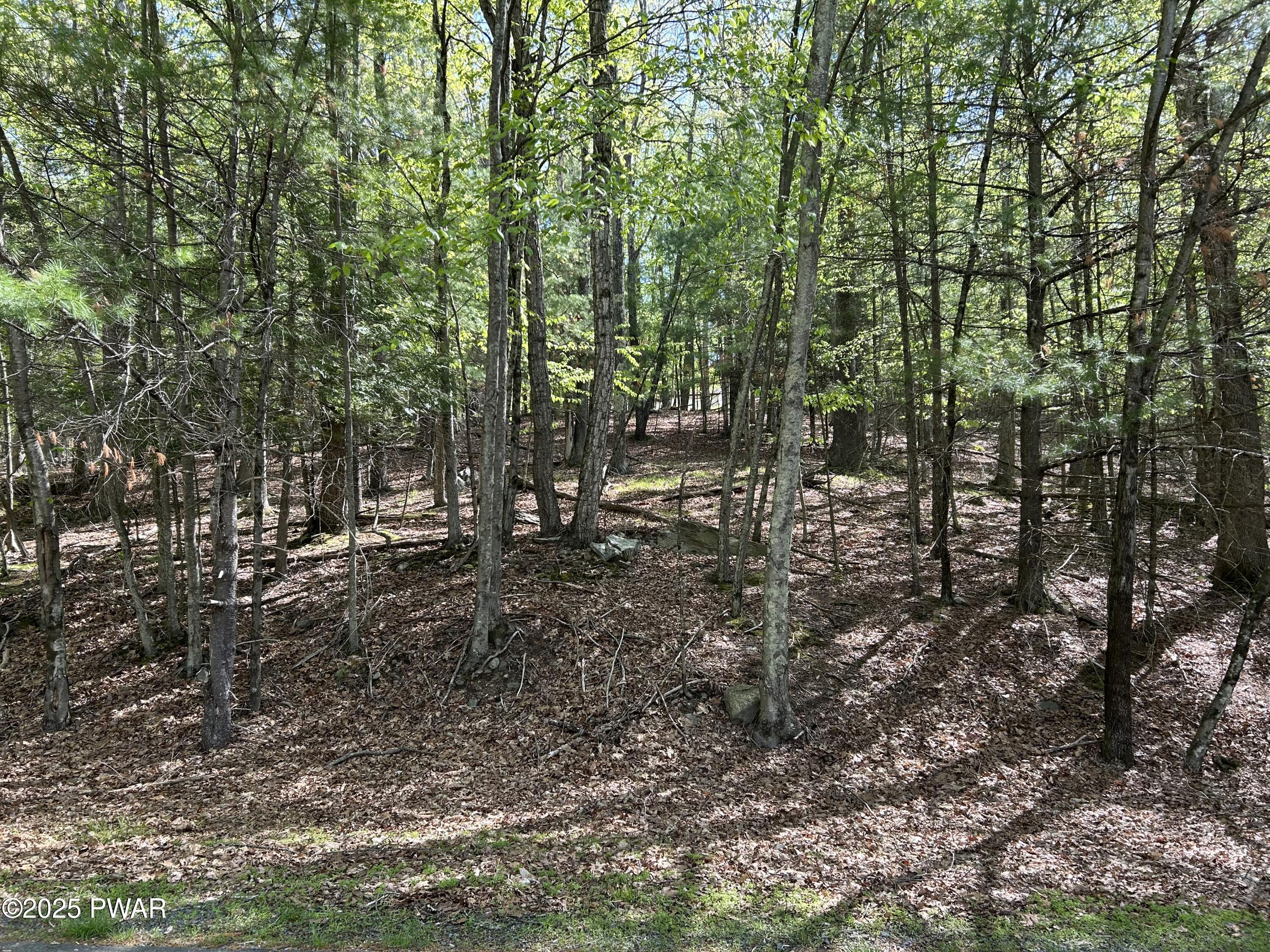 Lot 9 &10 Woodledge East Lake Drive, Hawley, Pennsylvania image 4