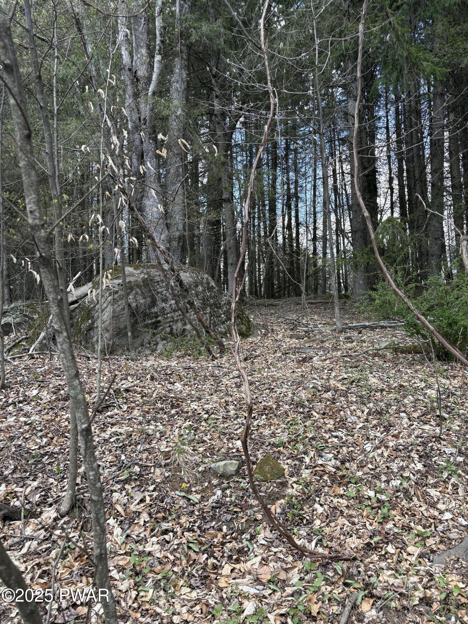 Bede Circle, Honesdale, Pennsylvania image 3