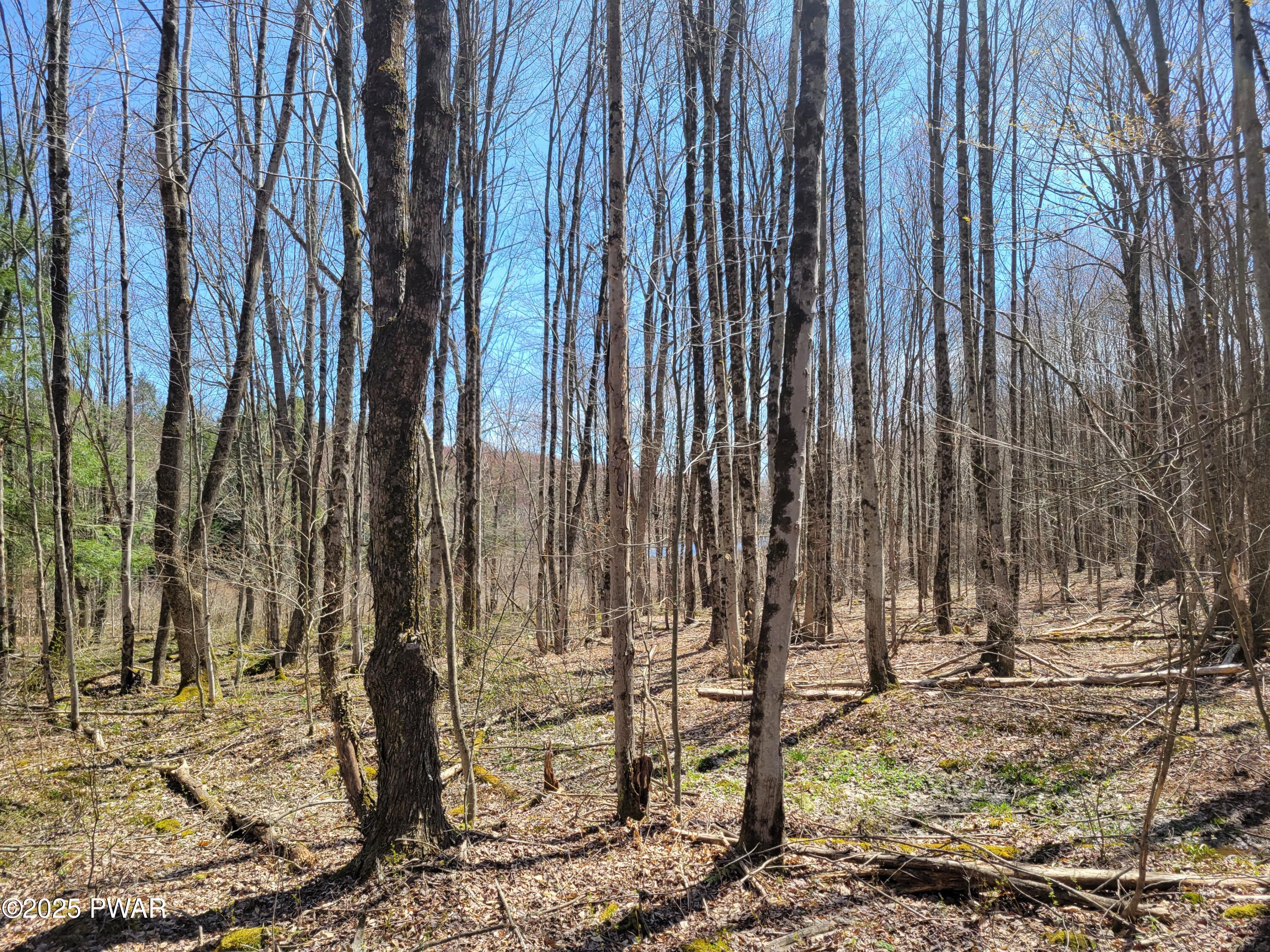 Creamton Drive, Lakewood, Pennsylvania image 9
