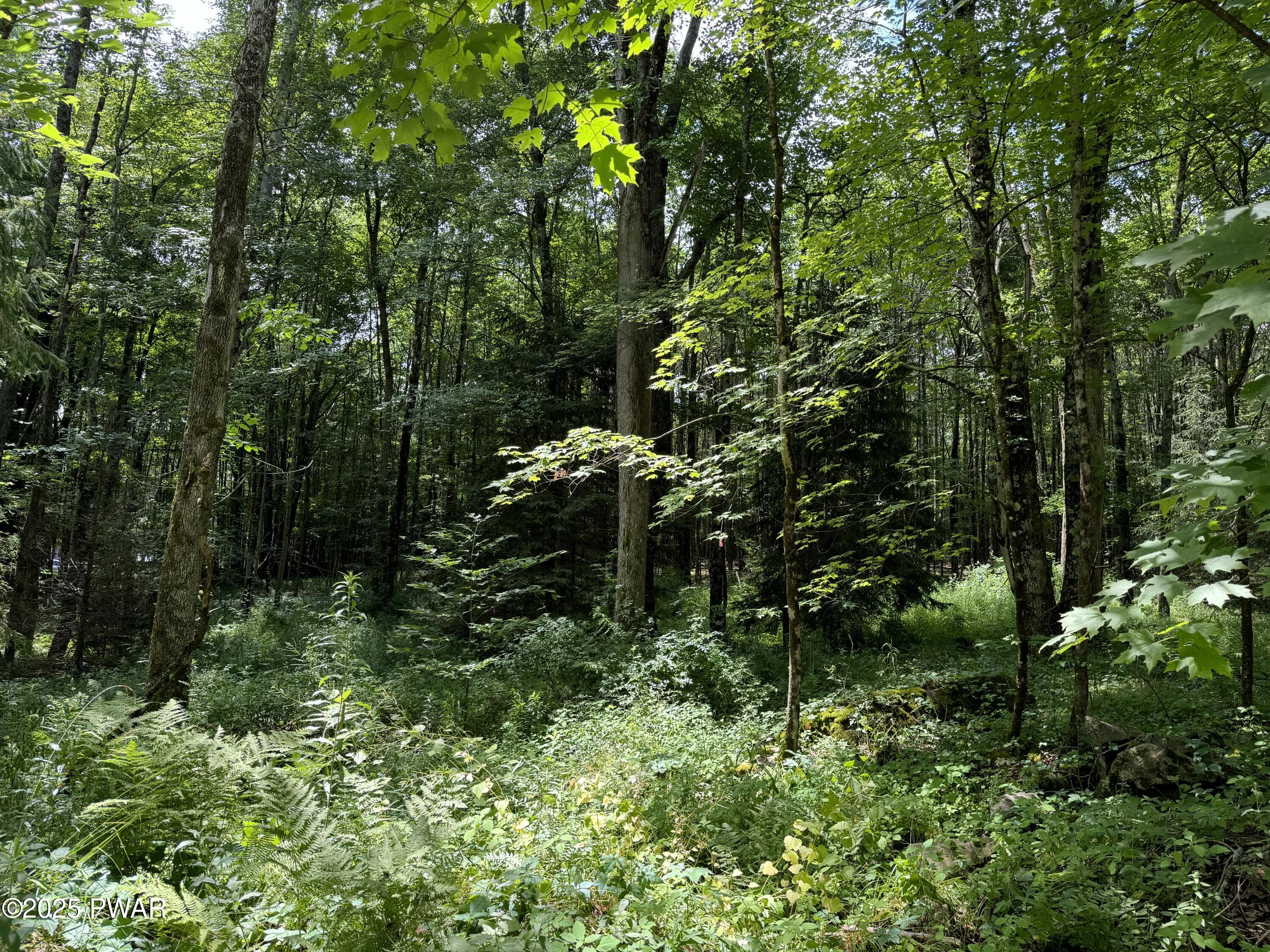 Creamton Drive, Lakewood, Pennsylvania image 4