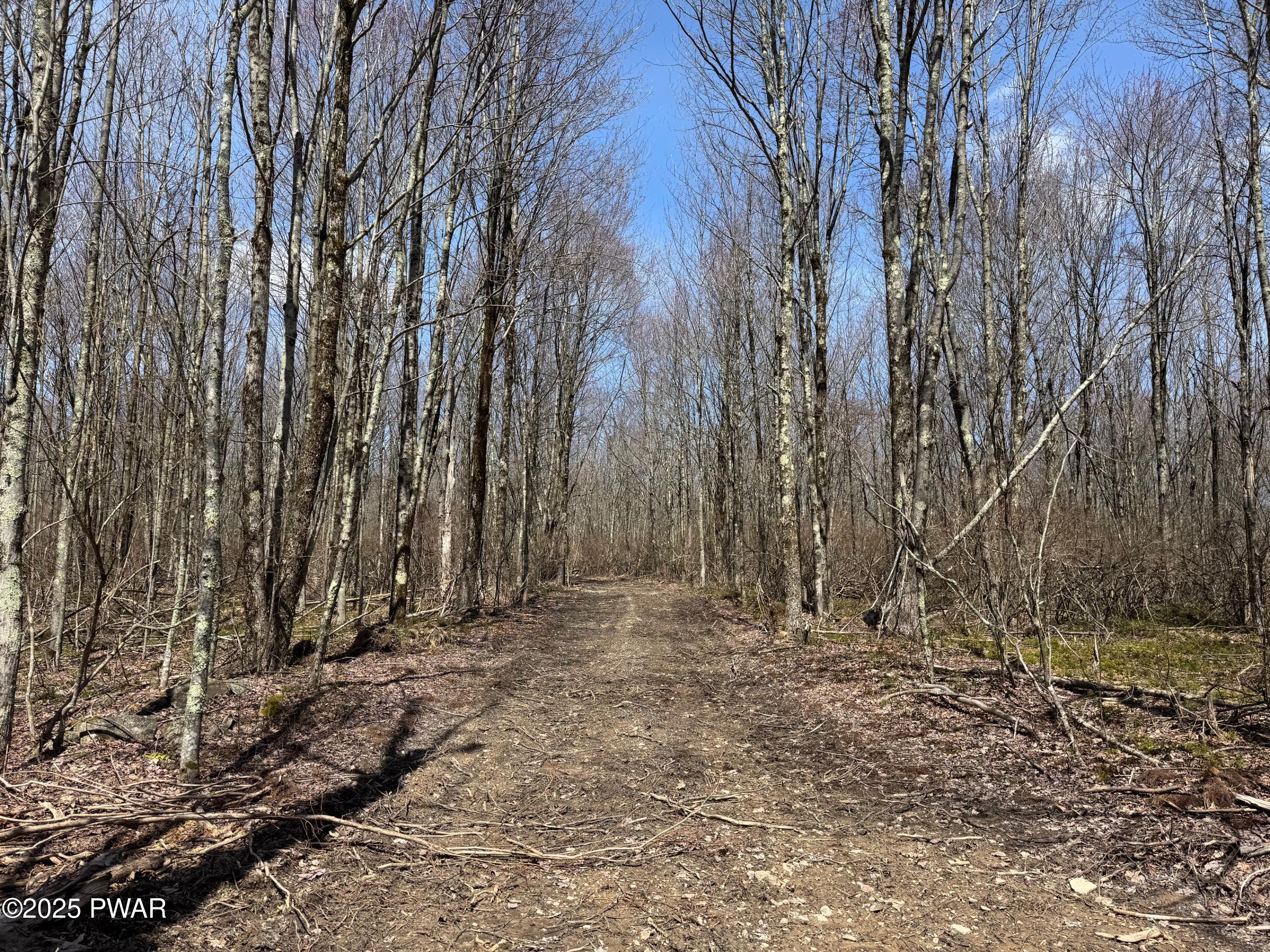 Creamton Drive, Lakewood, Pennsylvania image 11