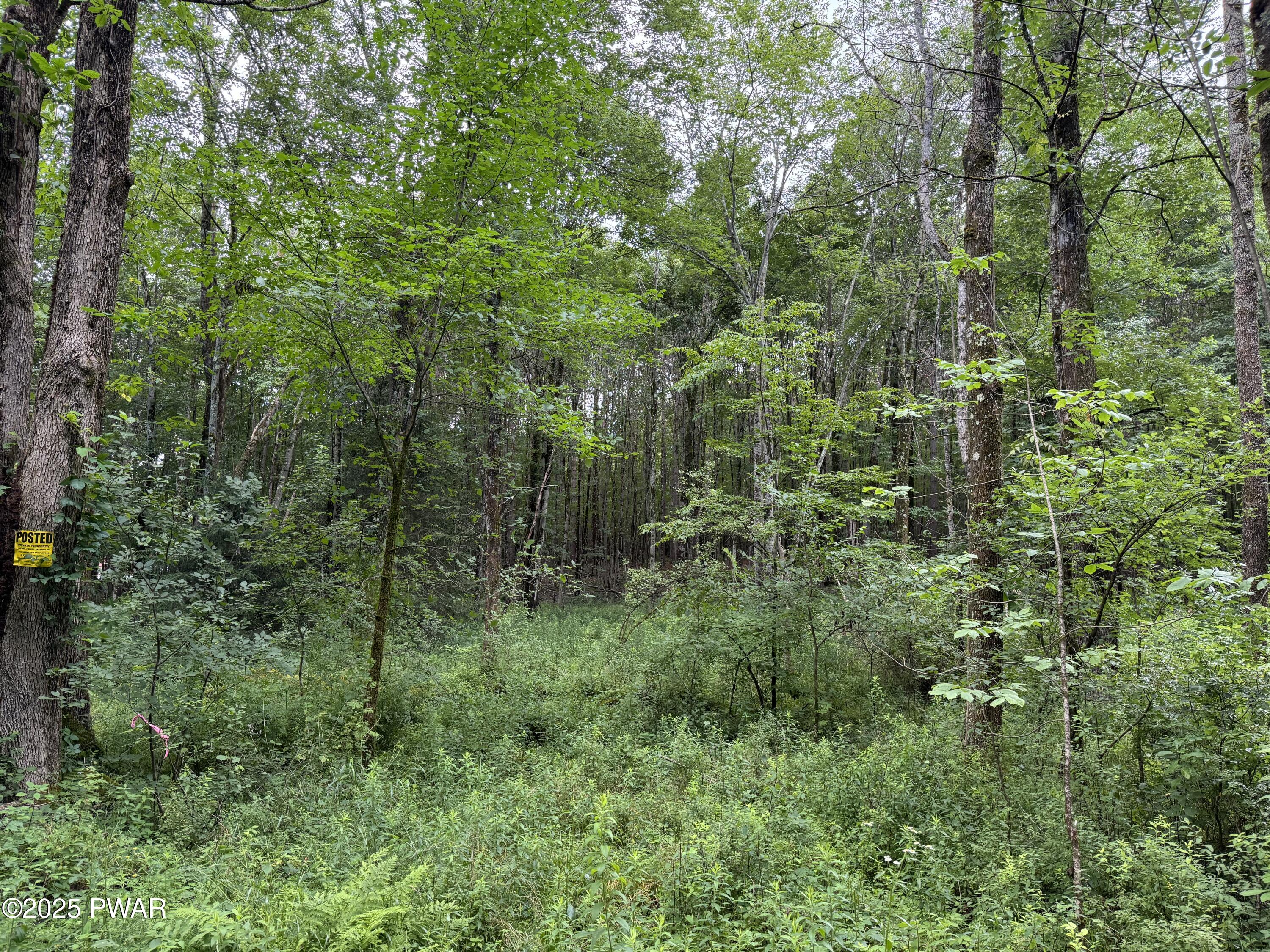 Creamton Drive, Lakewood, Pennsylvania image 6