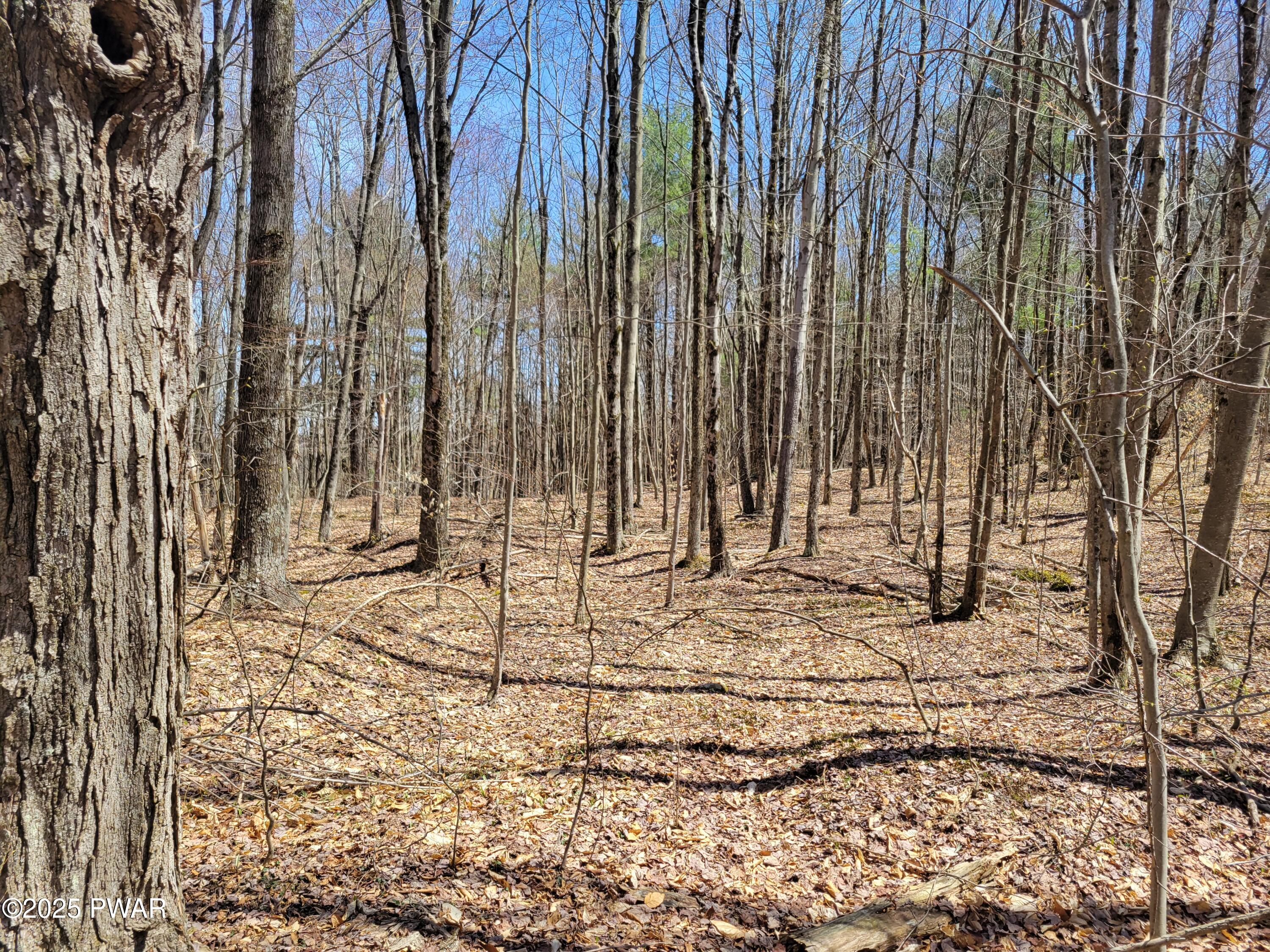 Creamton Drive, Lakewood, Pennsylvania image 3