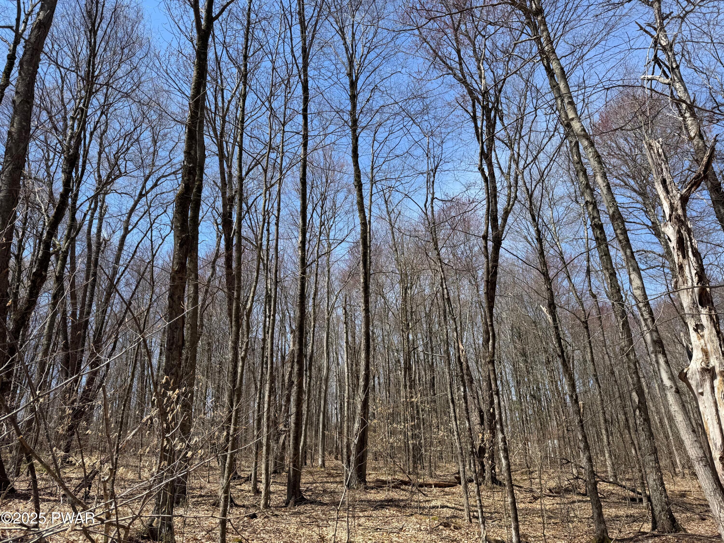Creamton Drive, Lakewood, Pennsylvania image 7