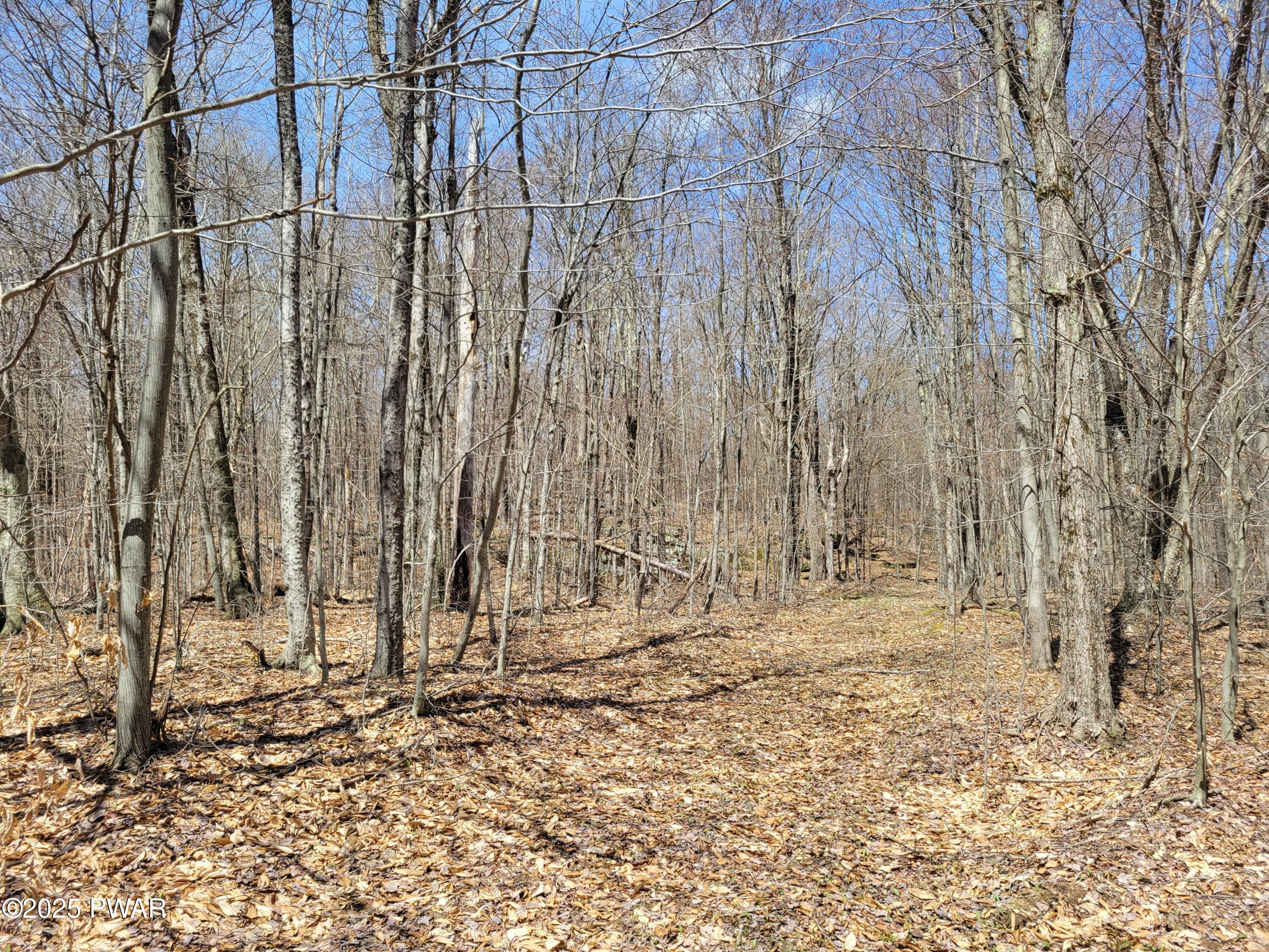 Creamton Drive, Lakewood, Pennsylvania image 10