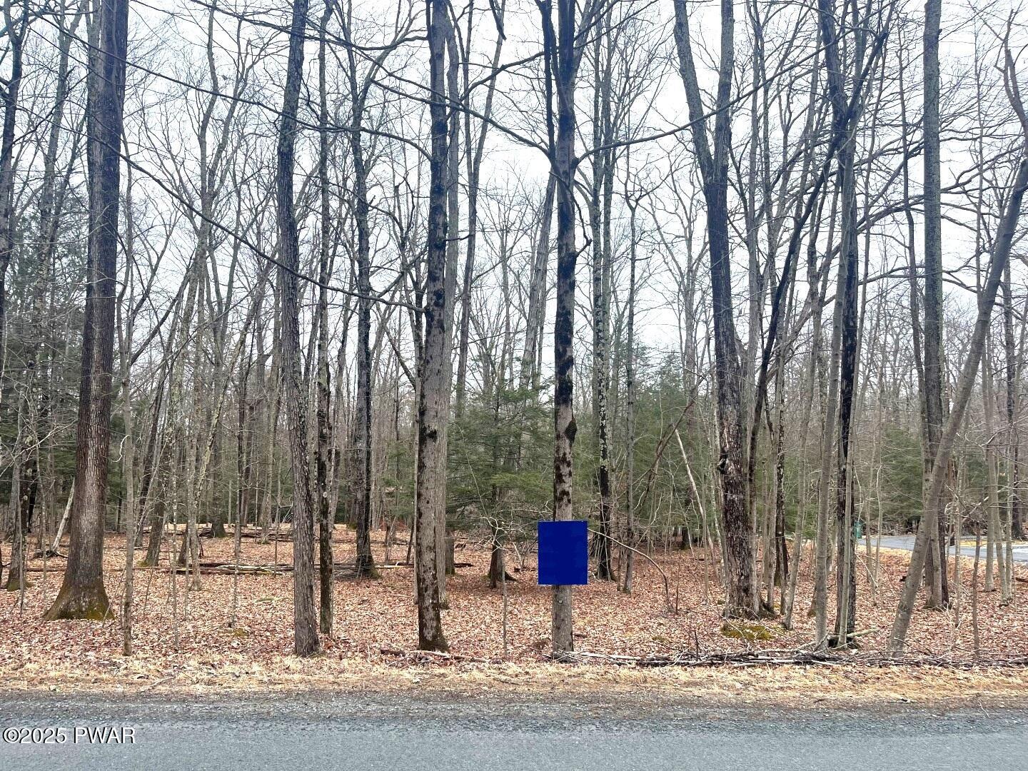 Lot 726 Paper Birch, Tafton, Pennsylvania image 6