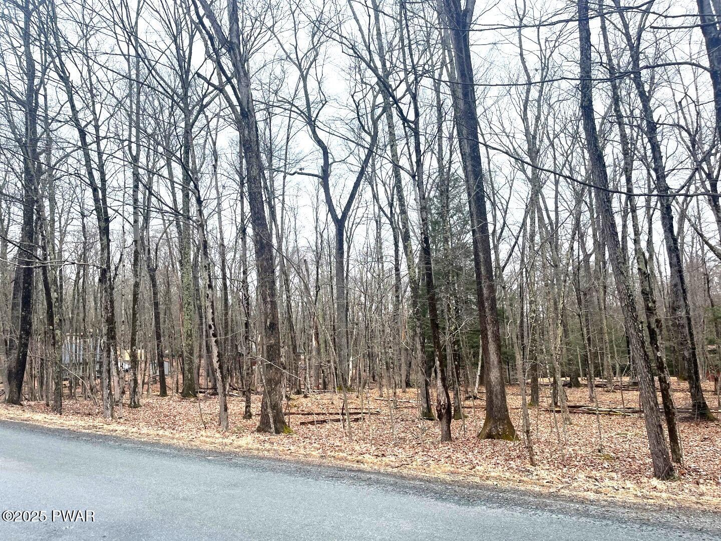 Lot 726 Paper Birch, Tafton, Pennsylvania image 2