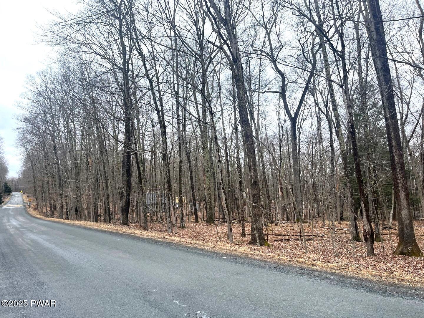 Lot 726 Paper Birch, Tafton, Pennsylvania image 3