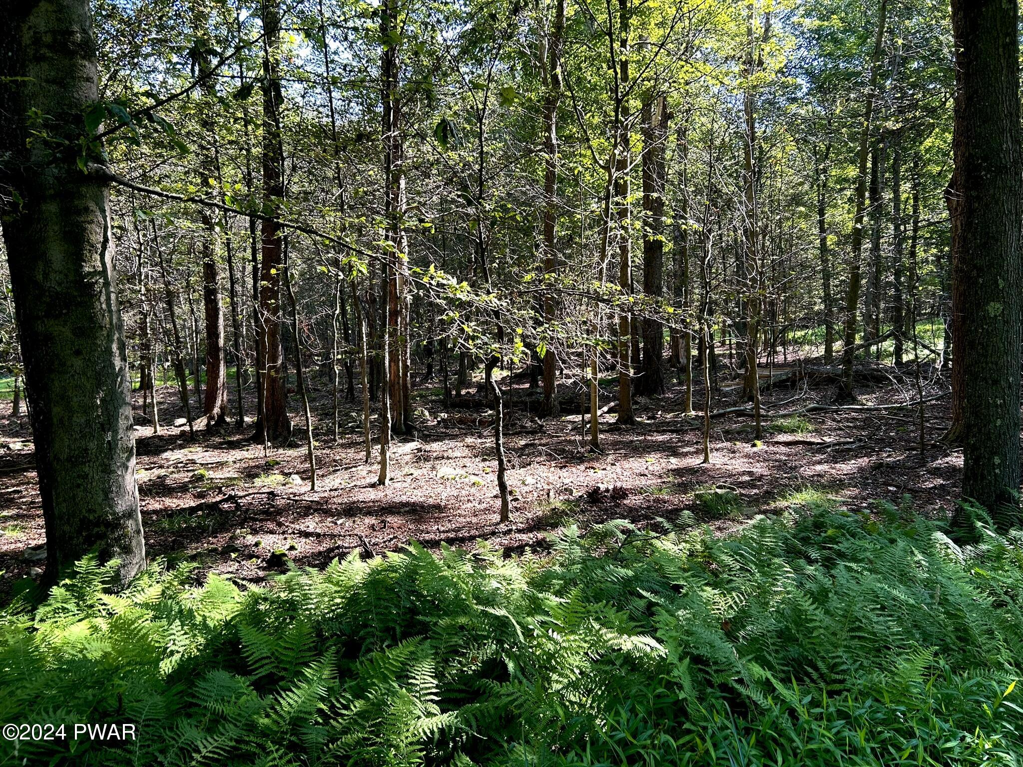 Lot 53 Timberlane Trail, Newfoundland, Pennsylvania image 9