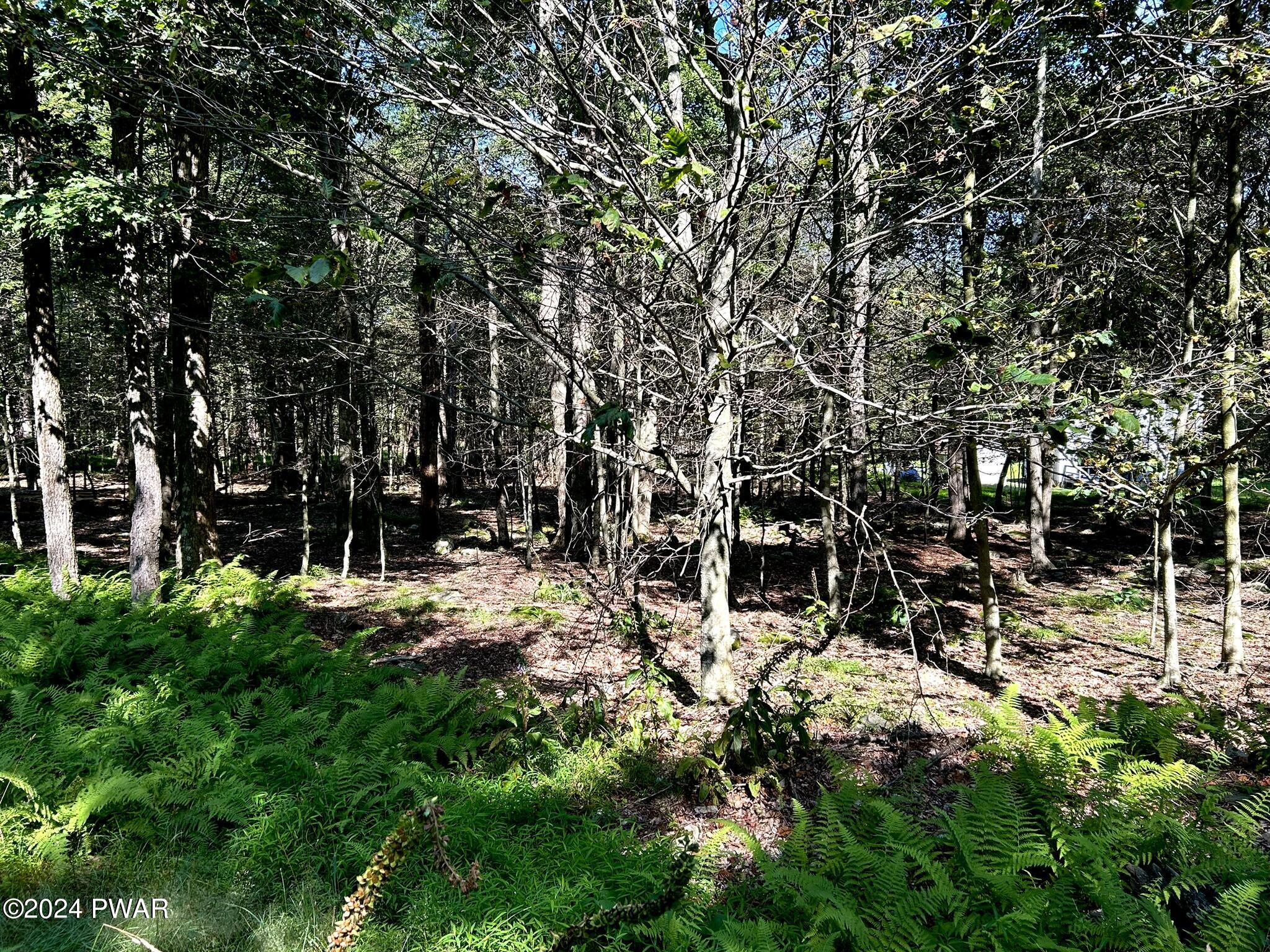 Lot 53 Timberlane Trail, Newfoundland, Pennsylvania image 12