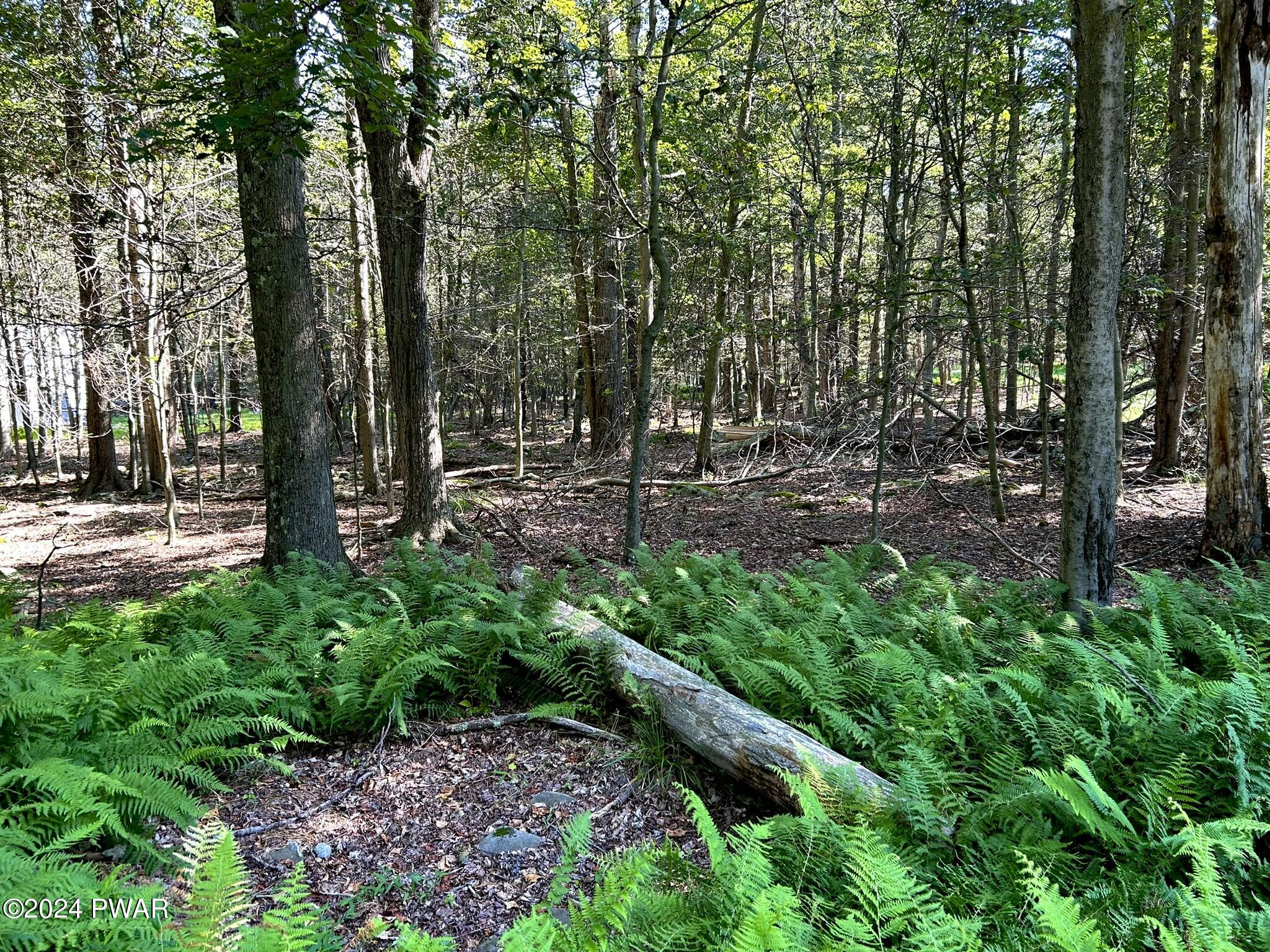 Lot 53 Timberlane Trail, Newfoundland, Pennsylvania image 7