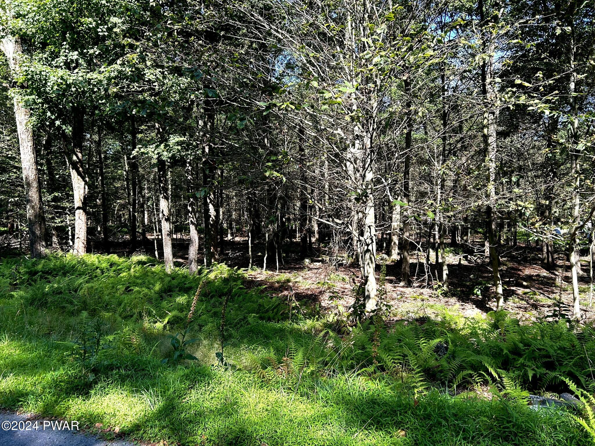 Lot 53 Timberlane Trail, Newfoundland, Pennsylvania image 14