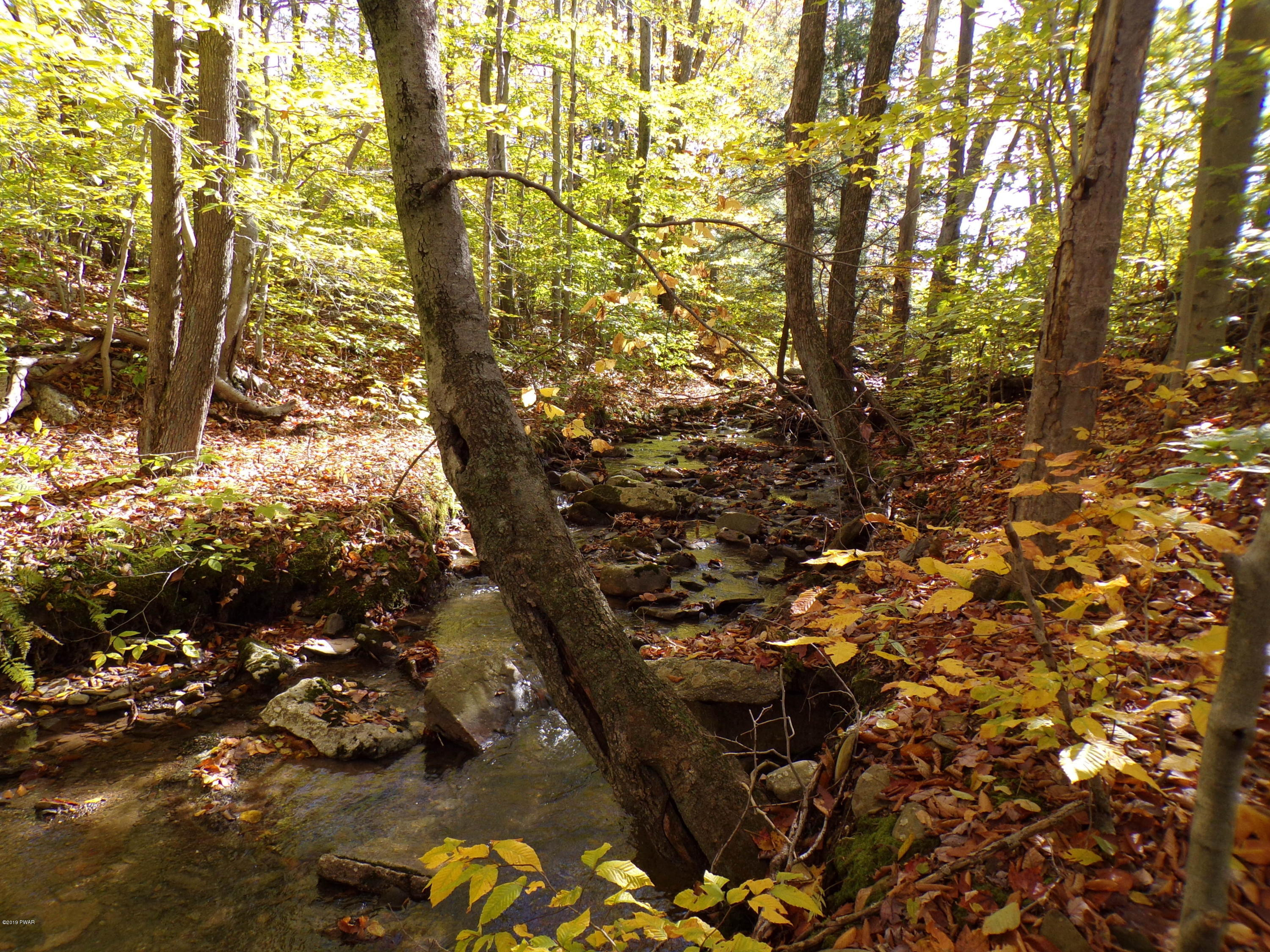 Flat Rock Road, Forest City, Pennsylvania image 8