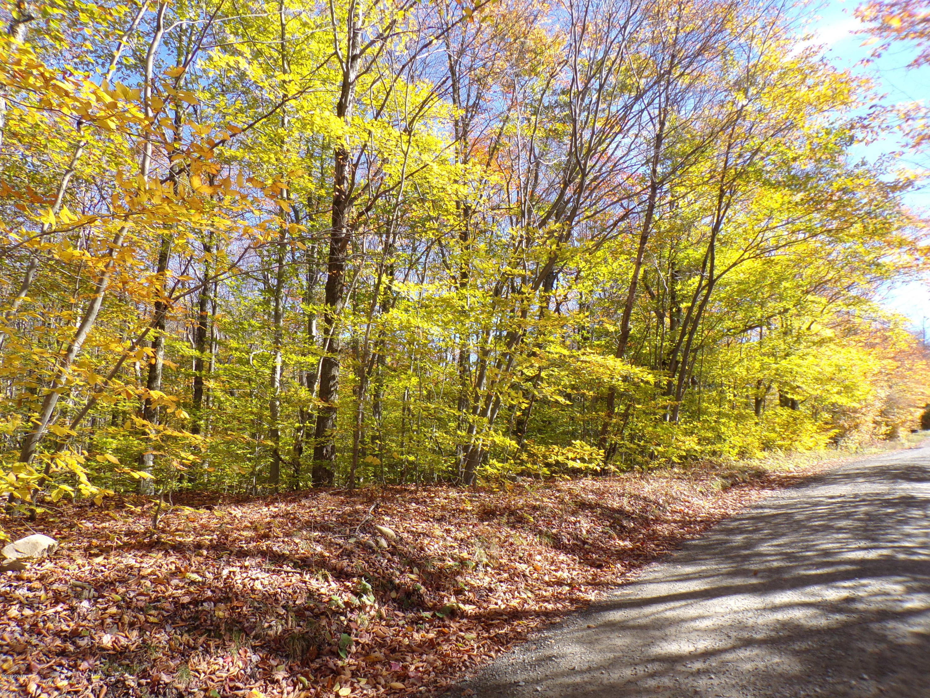 Flat Rock Road, Forest City, Pennsylvania image 3