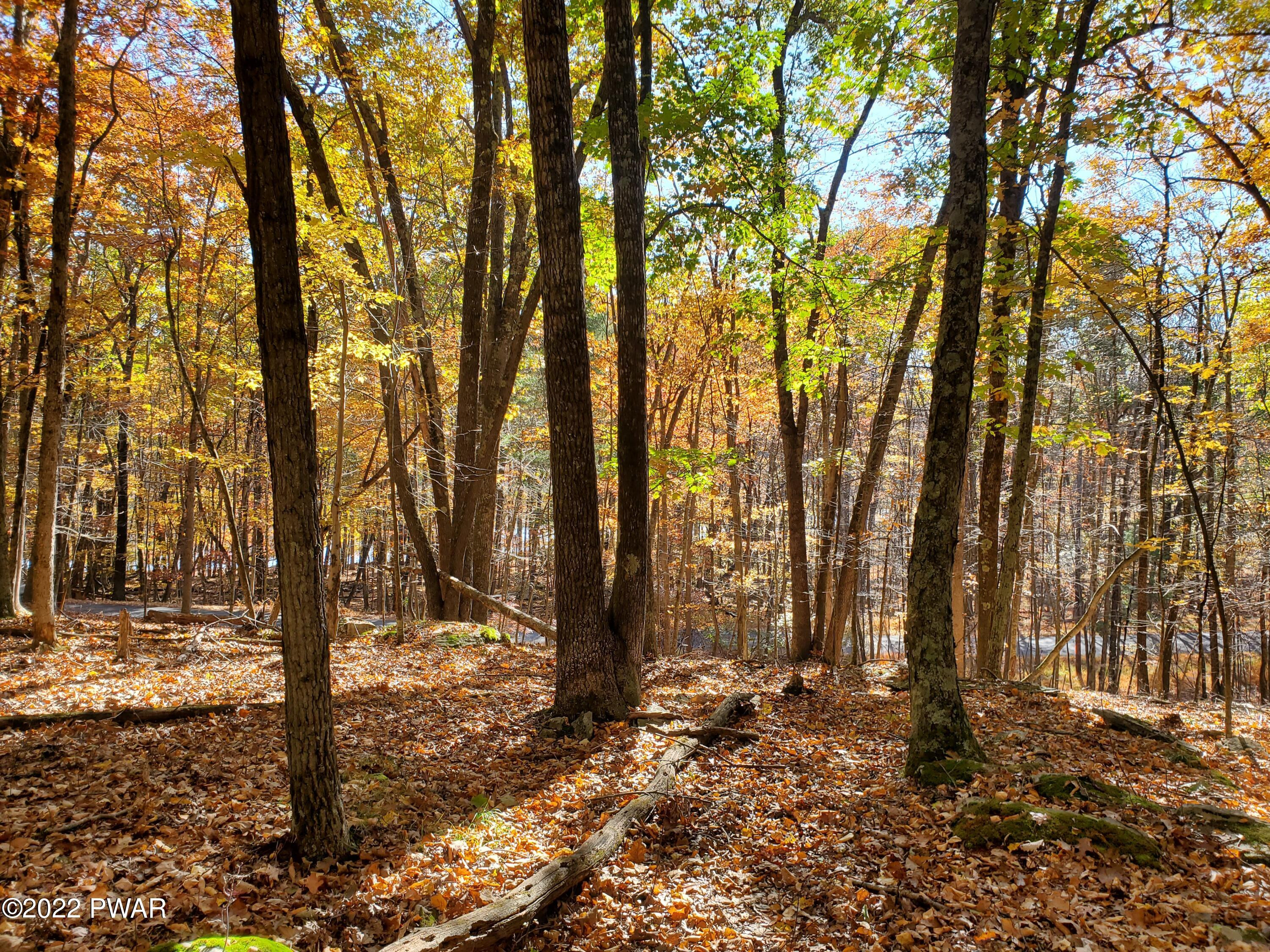 Long River Road, Newfoundland, Pennsylvania image 3