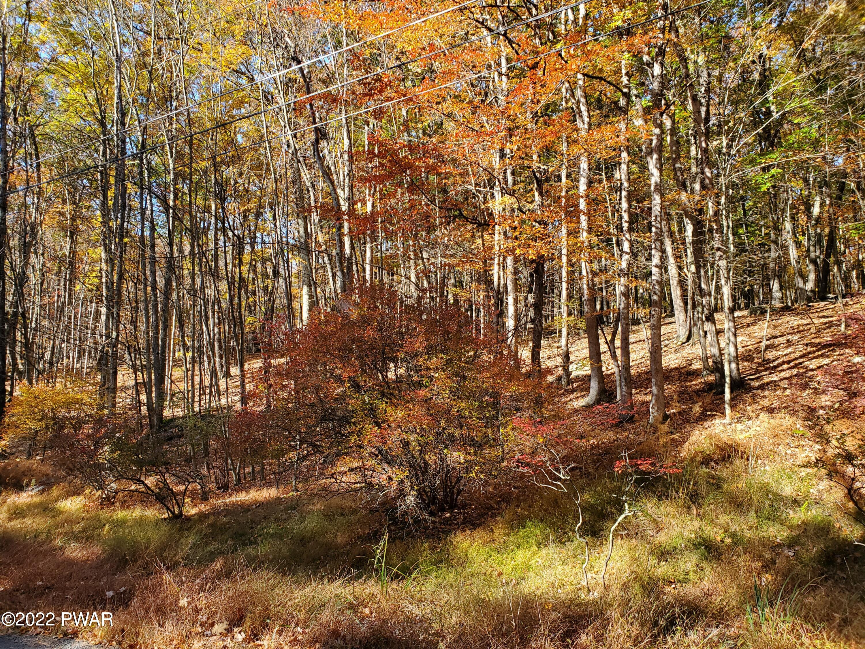 Long River Road, Newfoundland, Pennsylvania image 2