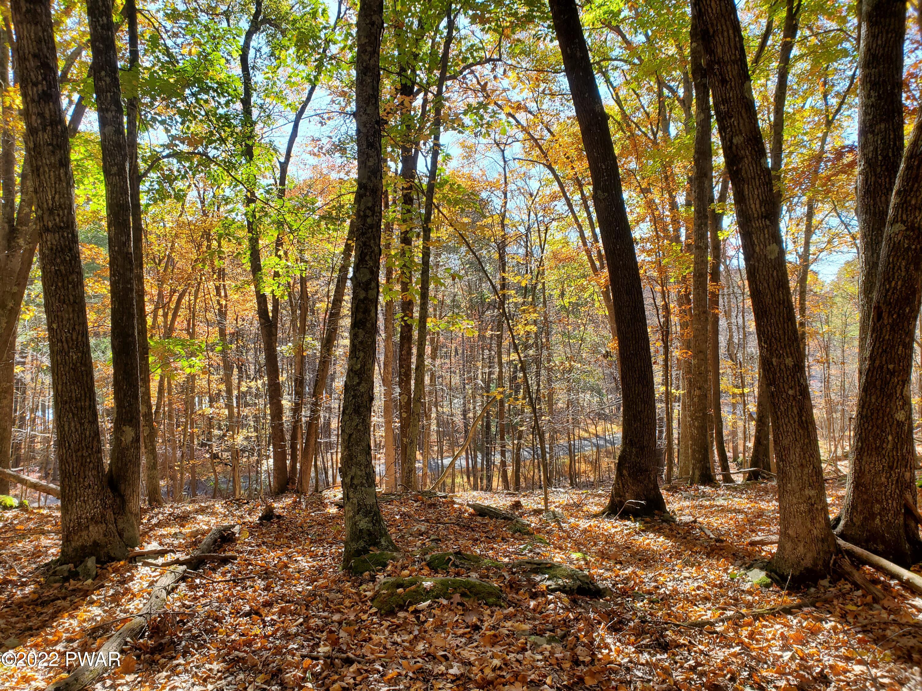 Long River Road, Newfoundland, Pennsylvania image 1