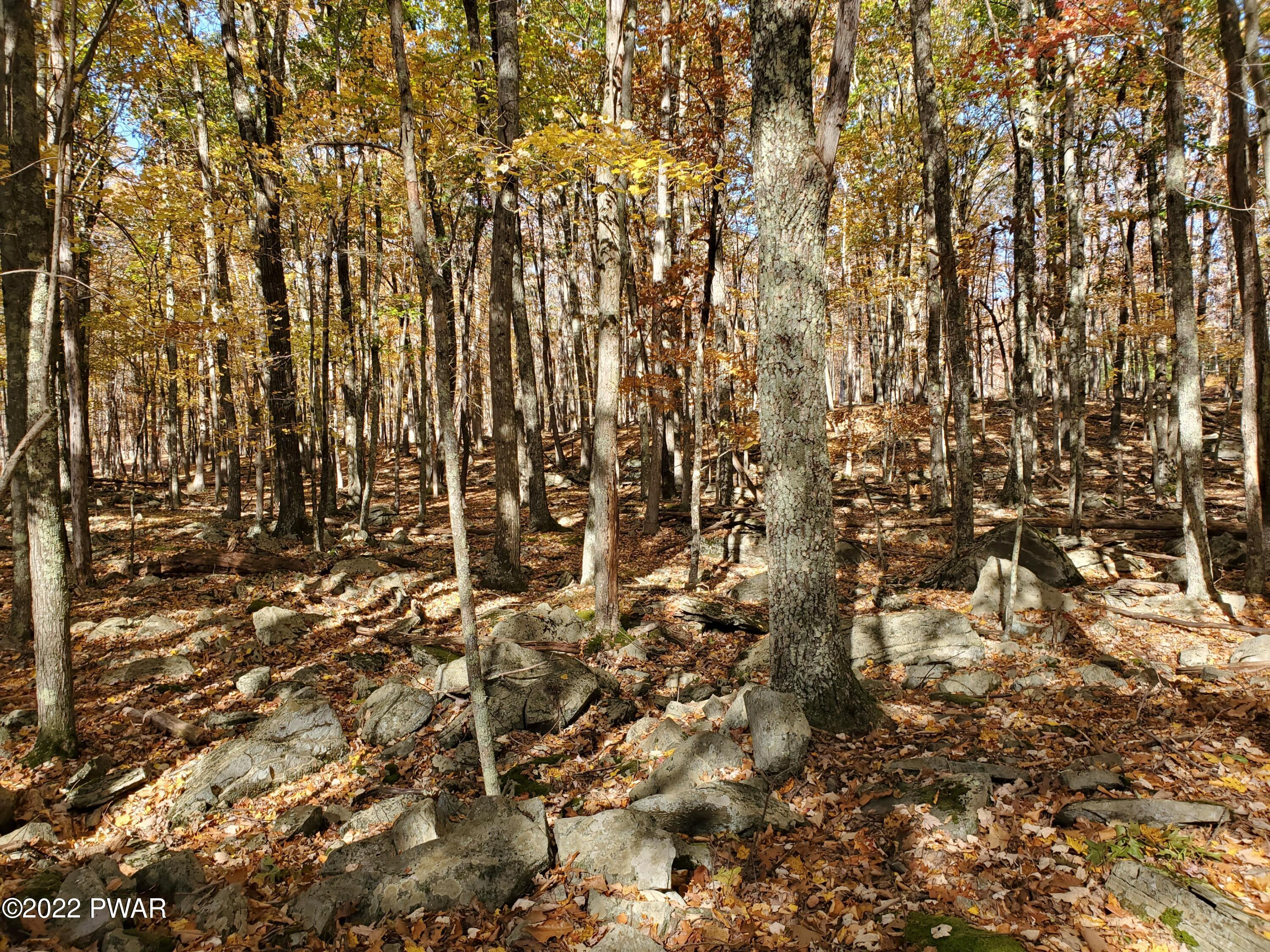 Long River Road, Newfoundland, Pennsylvania image 6