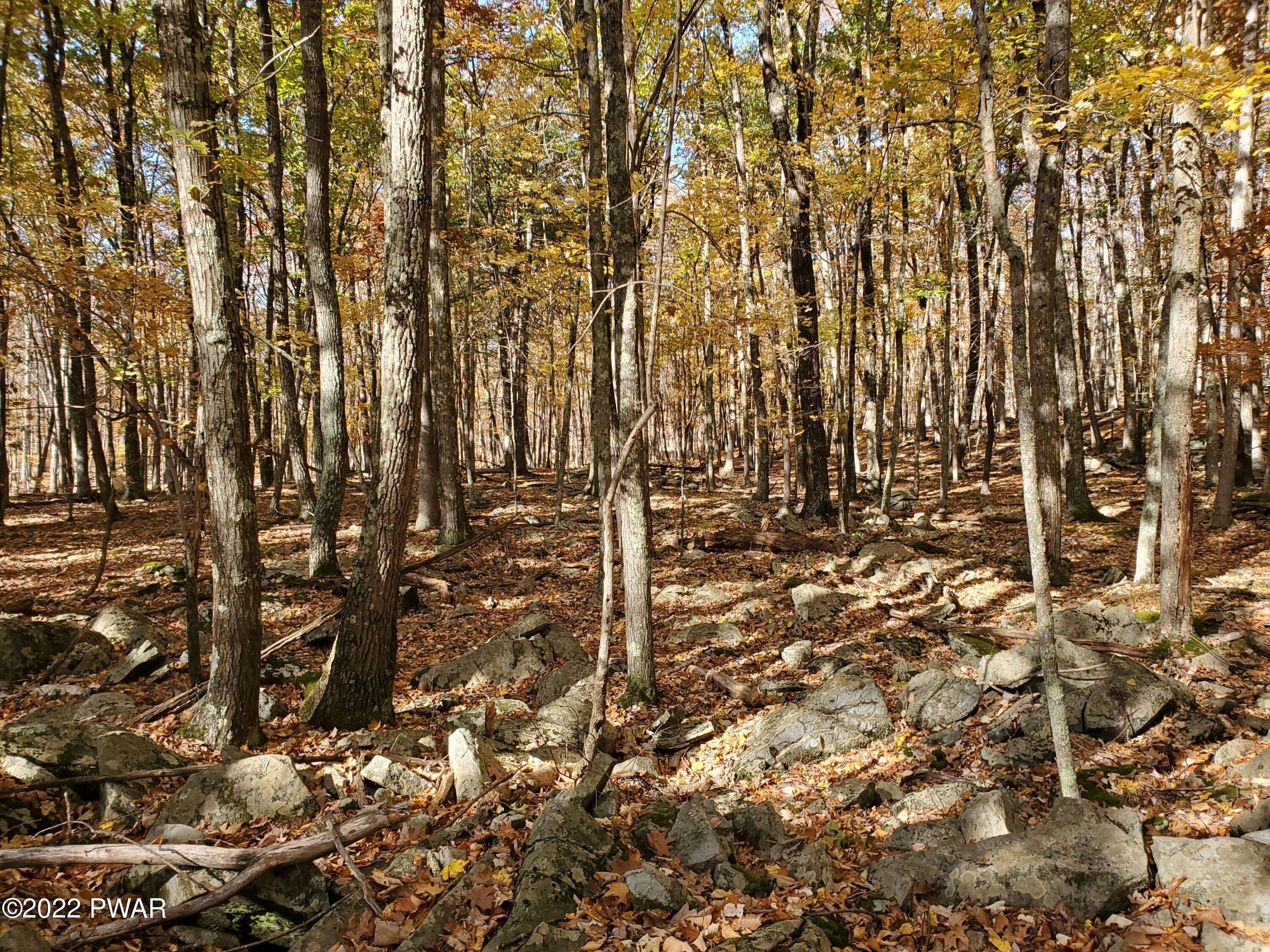 Long River Road, Newfoundland, Pennsylvania image 5