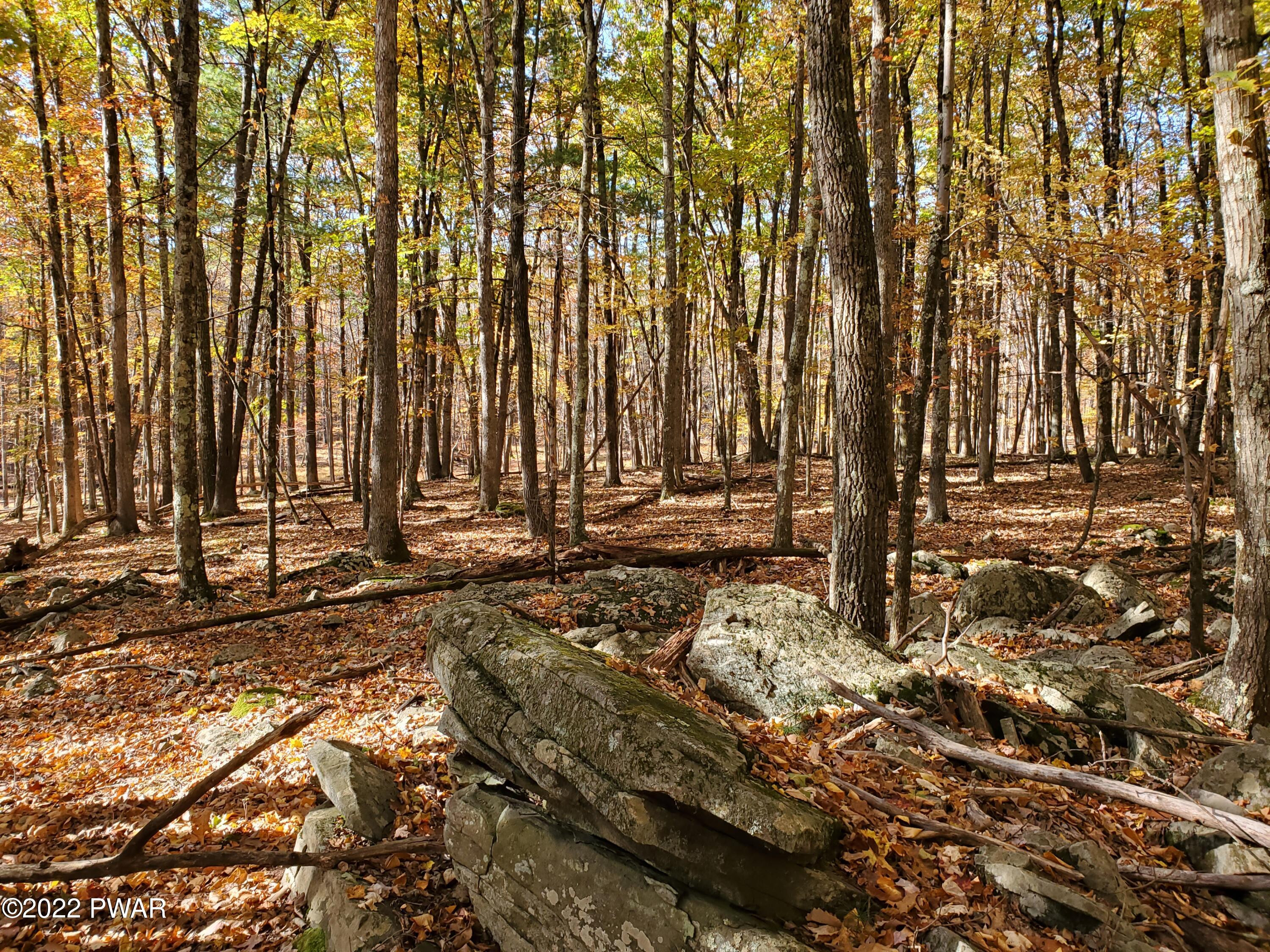 Long River Road, Newfoundland, Pennsylvania image 4