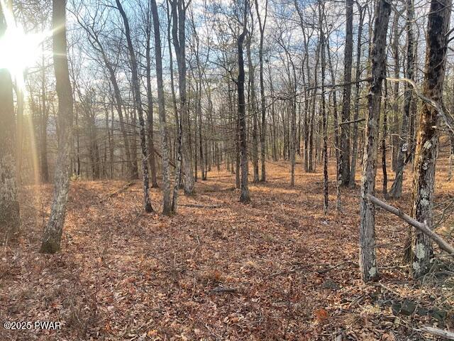 Lot 55 Summit Court, Milford, Pennsylvania image 4