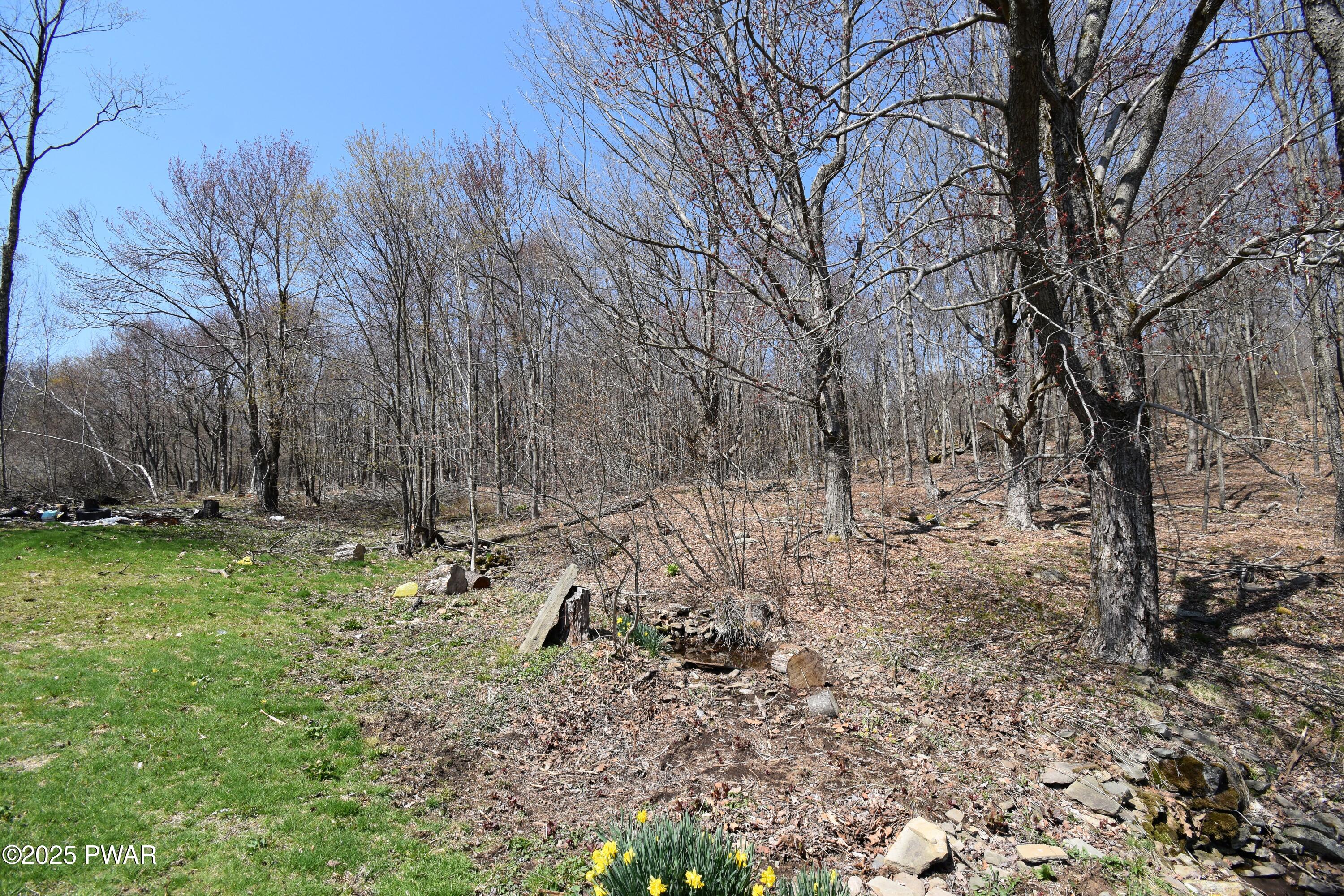 429 Flat Rock Road, Forest City, Pennsylvania image 36