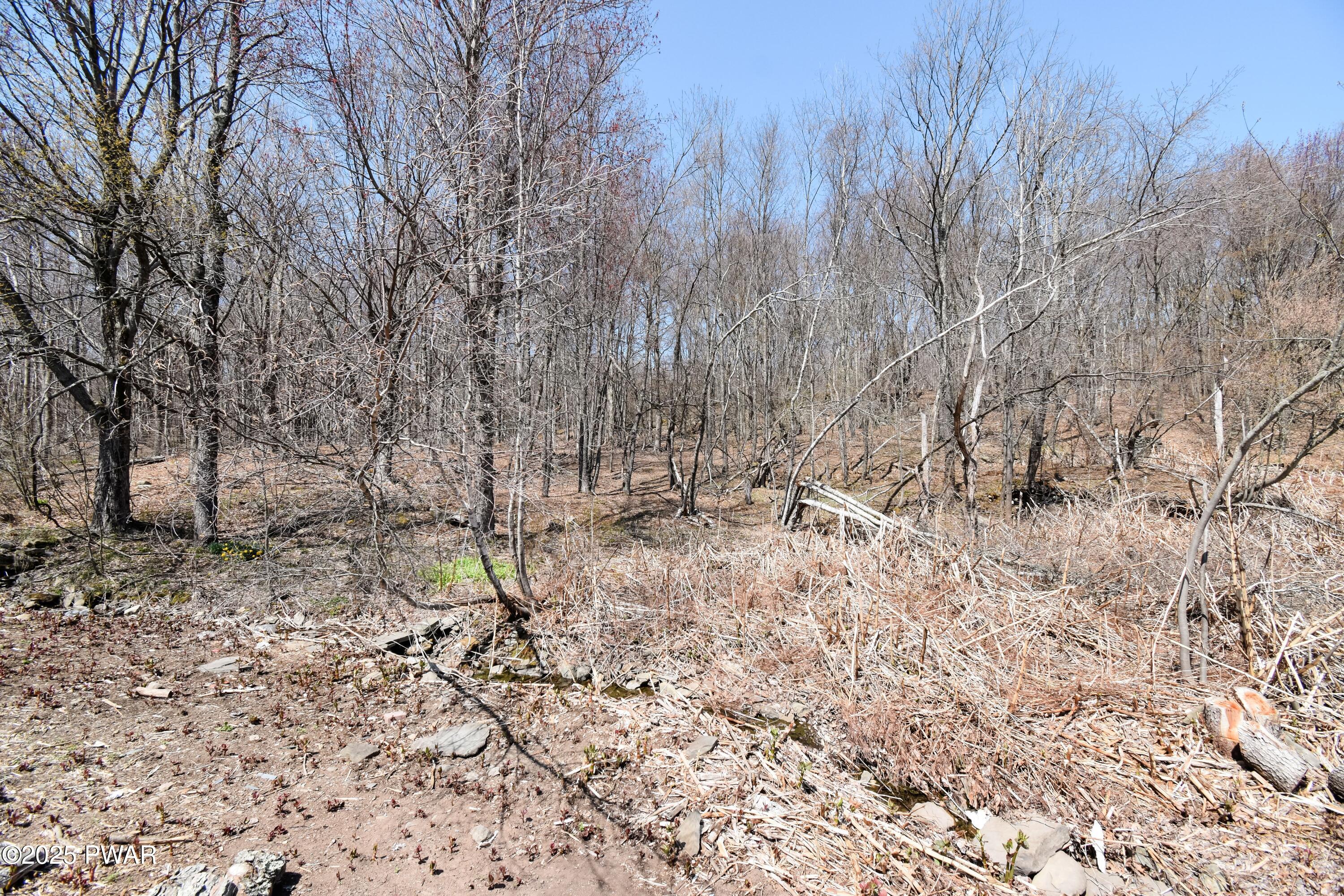 429 Flat Rock Road, Forest City, Pennsylvania image 33