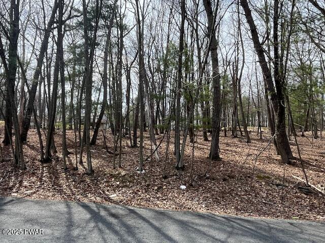 149 Arbor Drive, Milford, Pennsylvania image 2