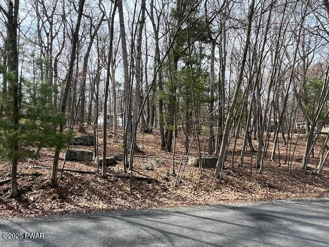 149 Arbor Drive, Milford, Pennsylvania image 8