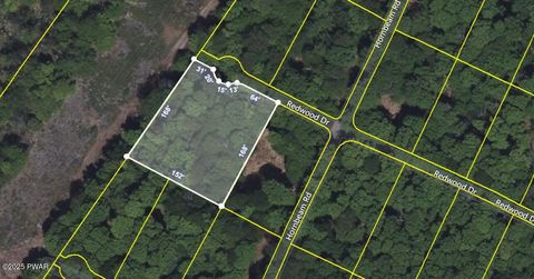Vacant Land For Sale - 76 Redwood Drive<br/> Wayne County, Newfoundland, PA 18445