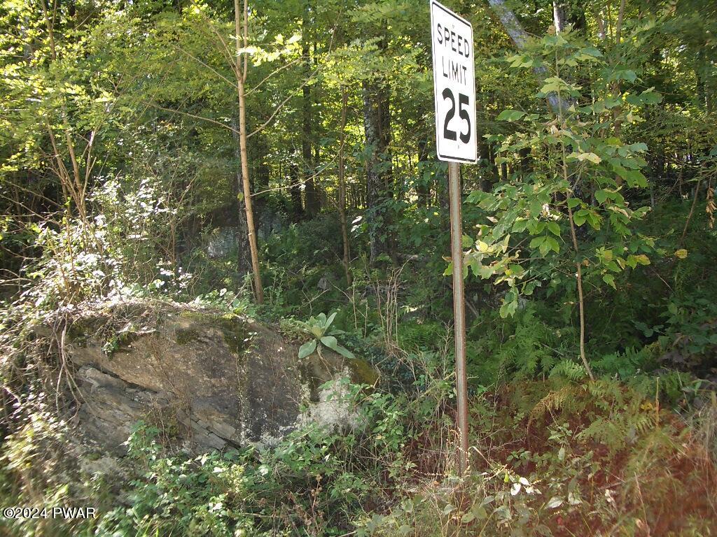 LOT 3 Gilpin Road, Newfoundland, Pennsylvania image 5