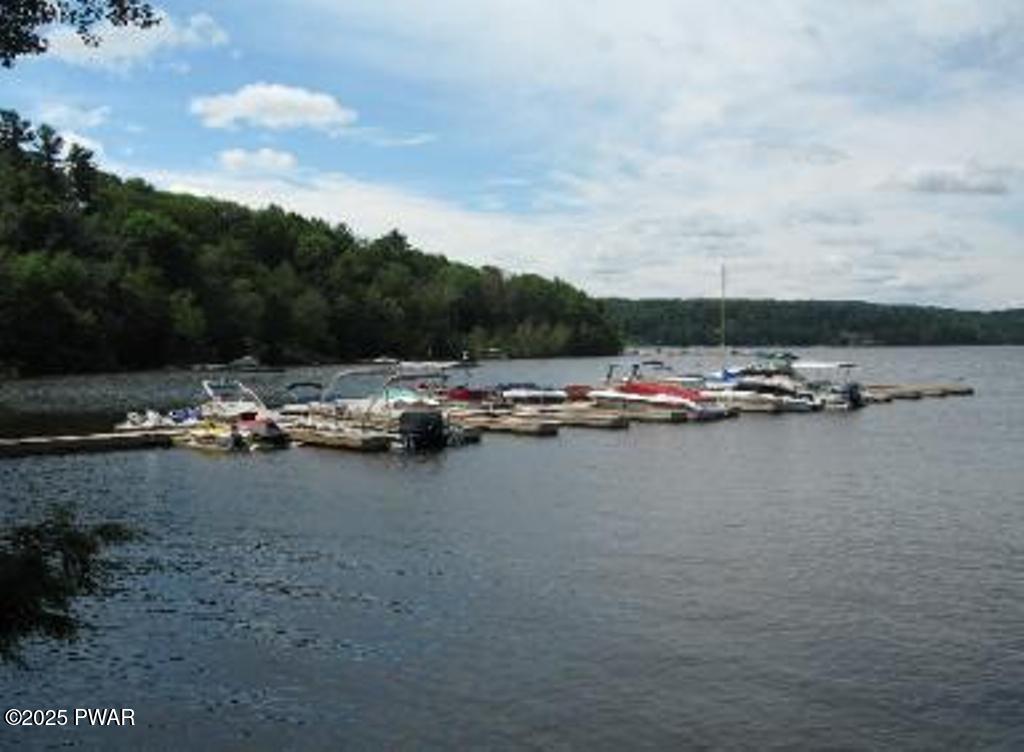802 Forest Circle #802, Paupack, Pennsylvania image 46