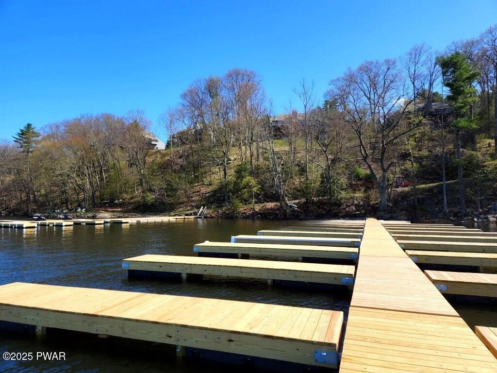 802 Forest Circle #802, Paupack, Pennsylvania image 38