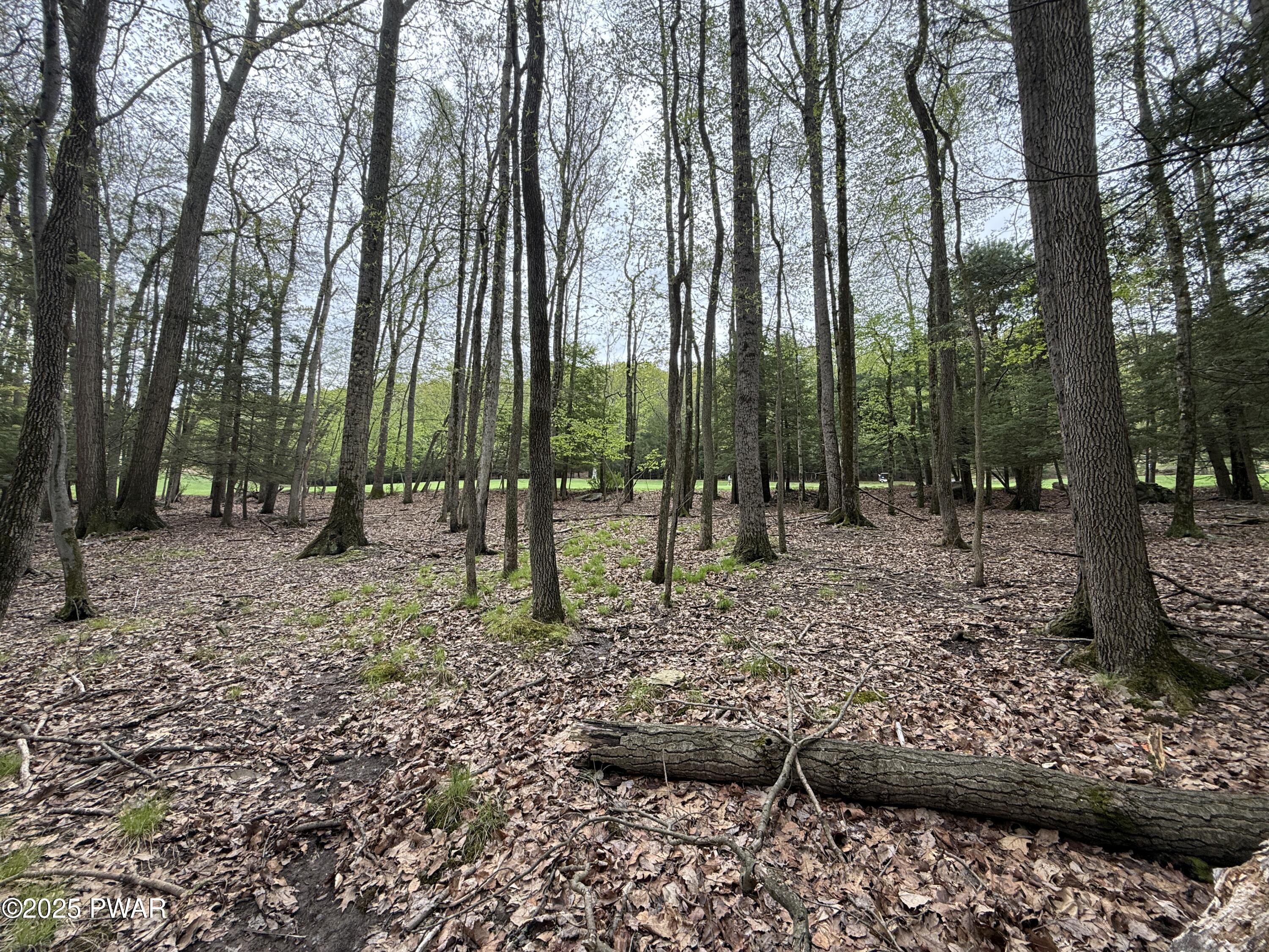 N Evergreen Drive, Greentown, Pennsylvania image 5