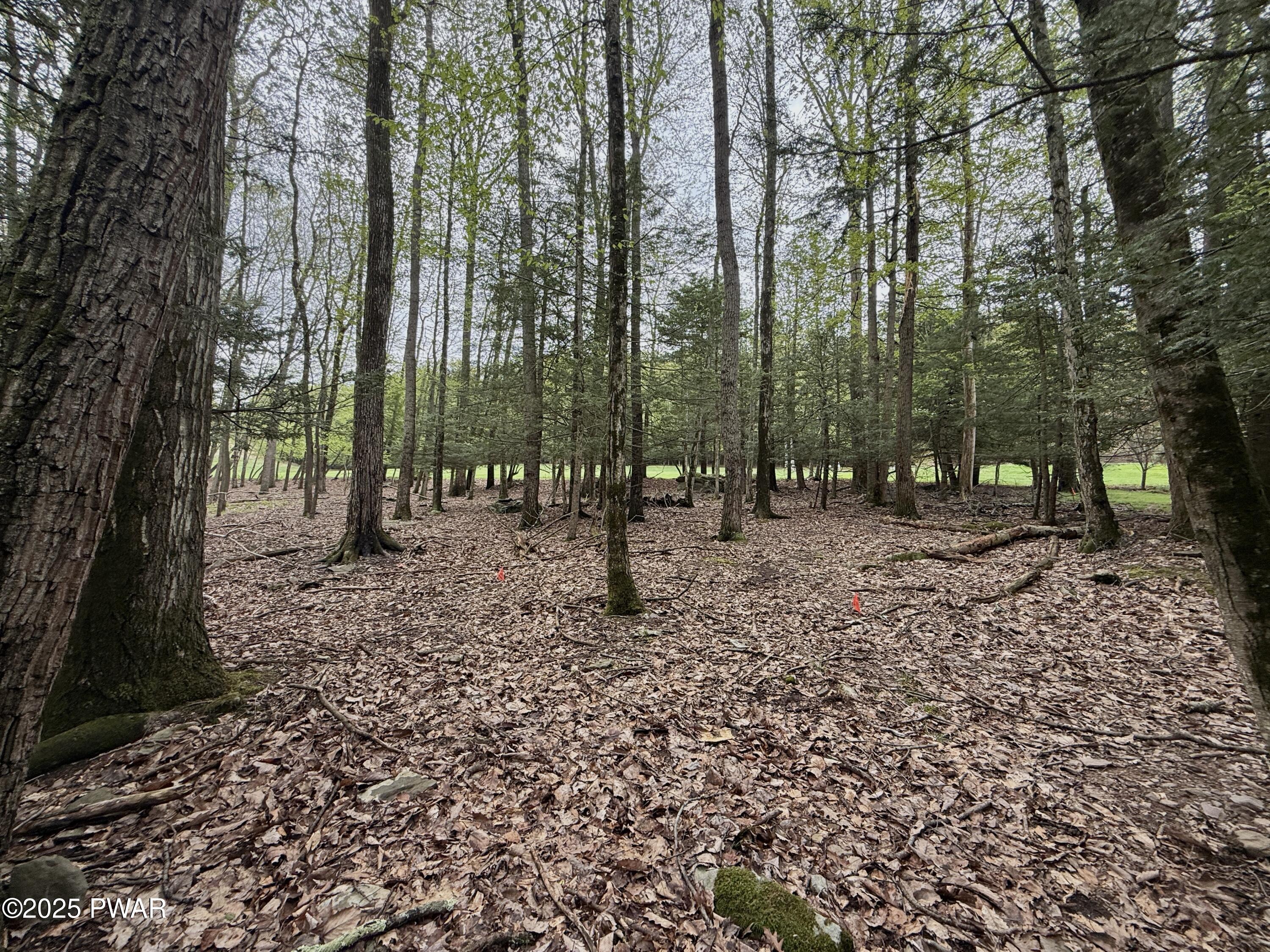 N Evergreen Drive, Greentown, Pennsylvania image 3