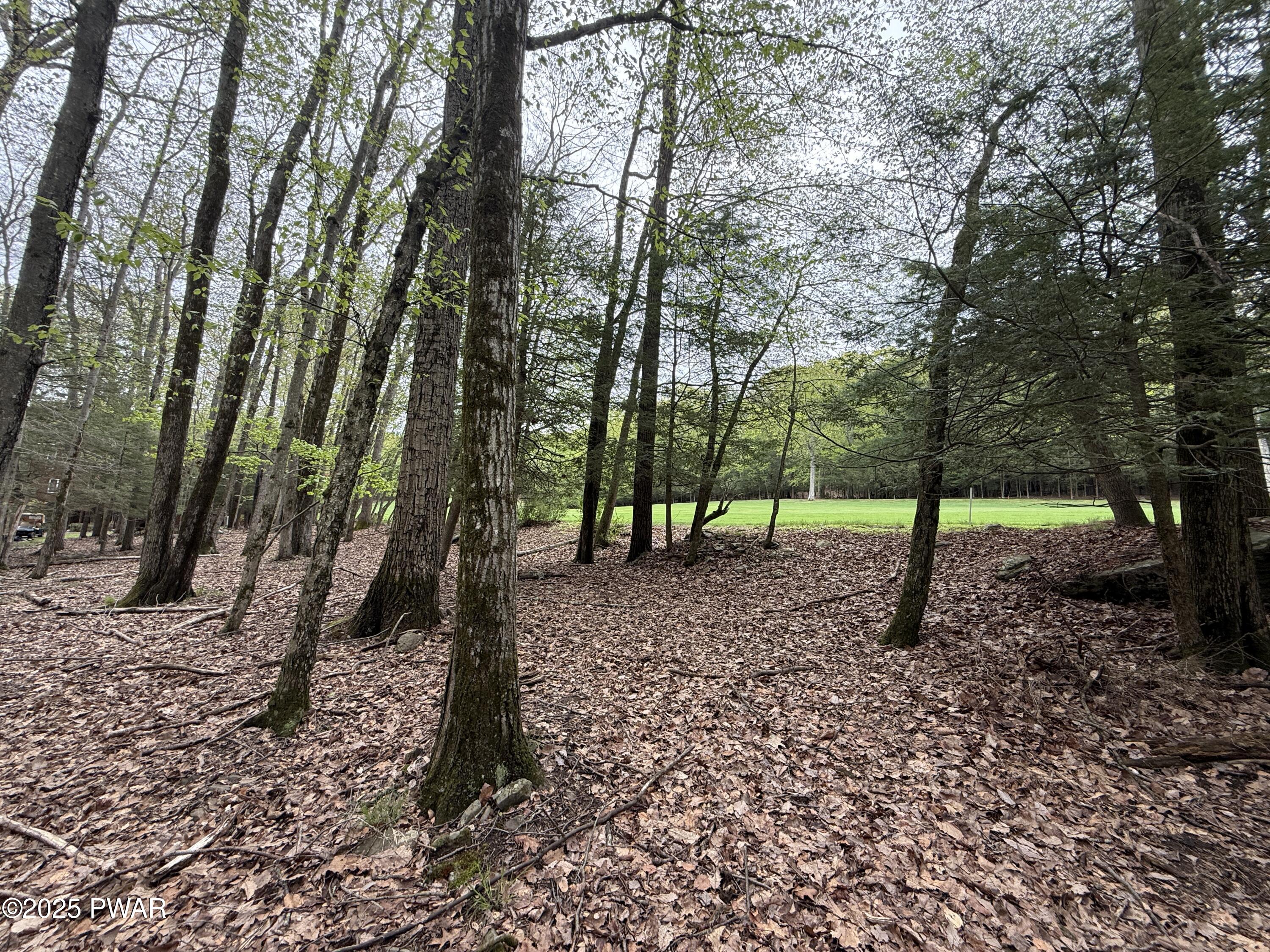 N Evergreen Drive, Greentown, Pennsylvania image 14