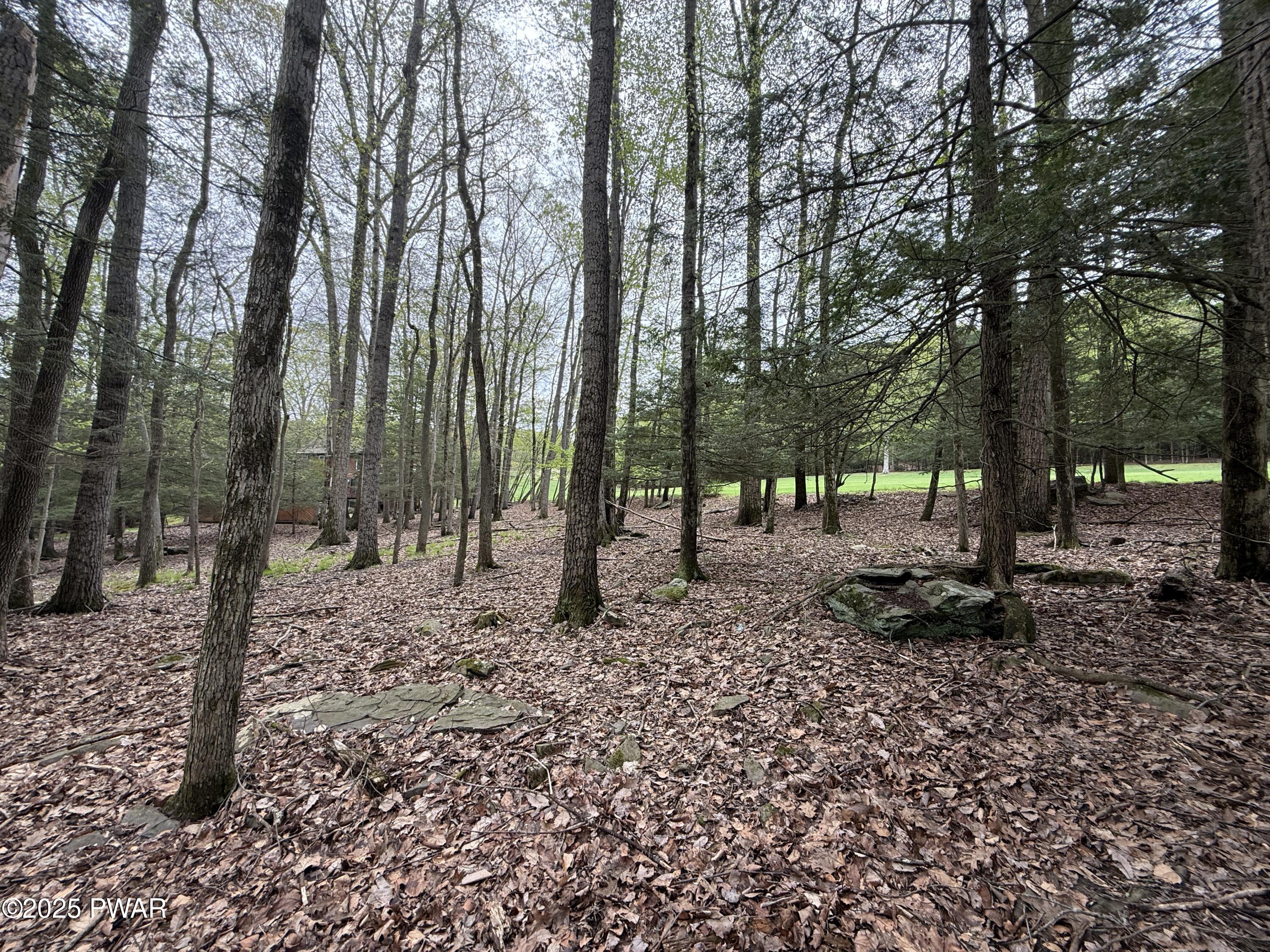 N Evergreen Drive, Greentown, Pennsylvania image 19
