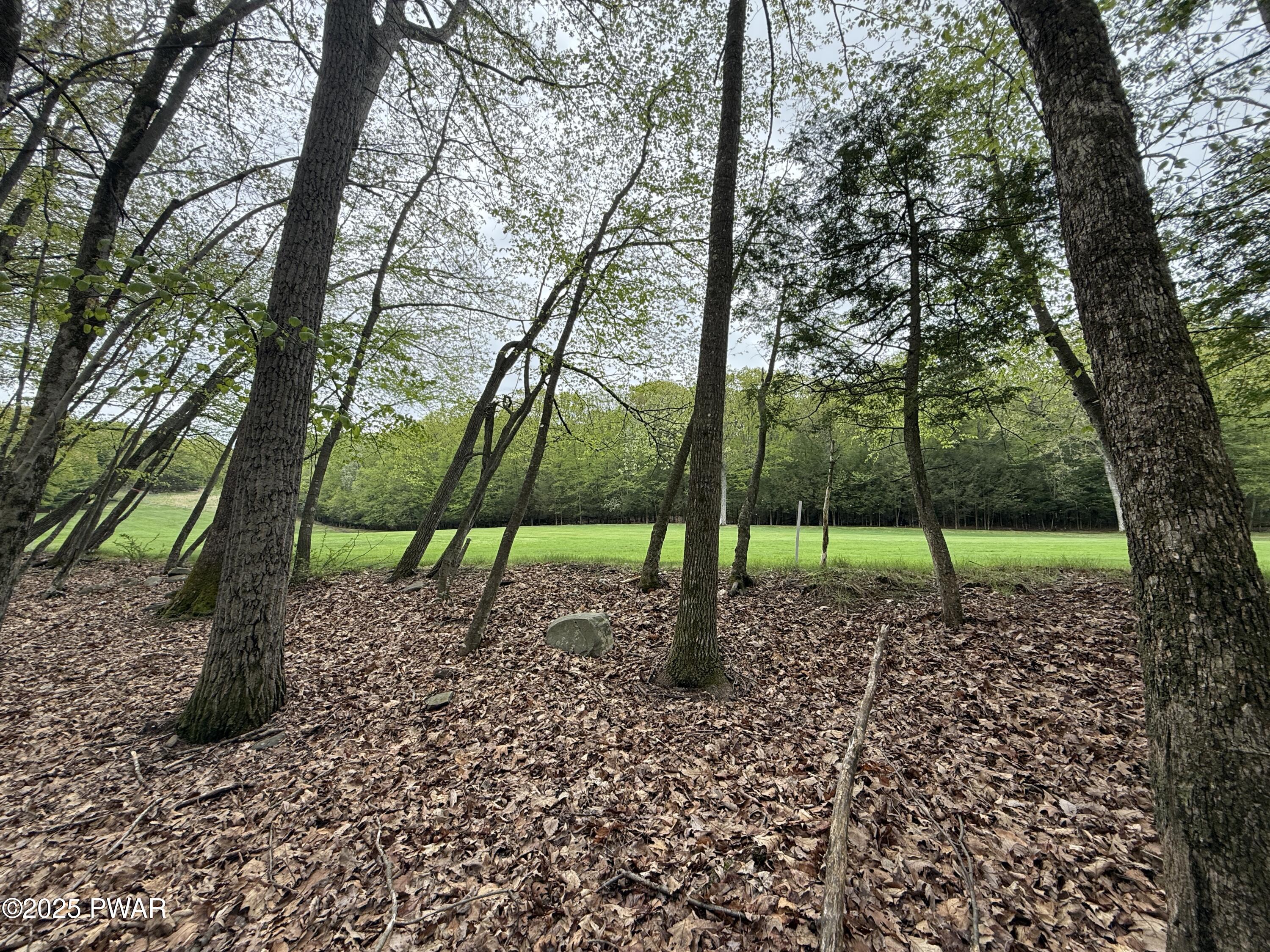 N Evergreen Drive, Greentown, Pennsylvania image 10