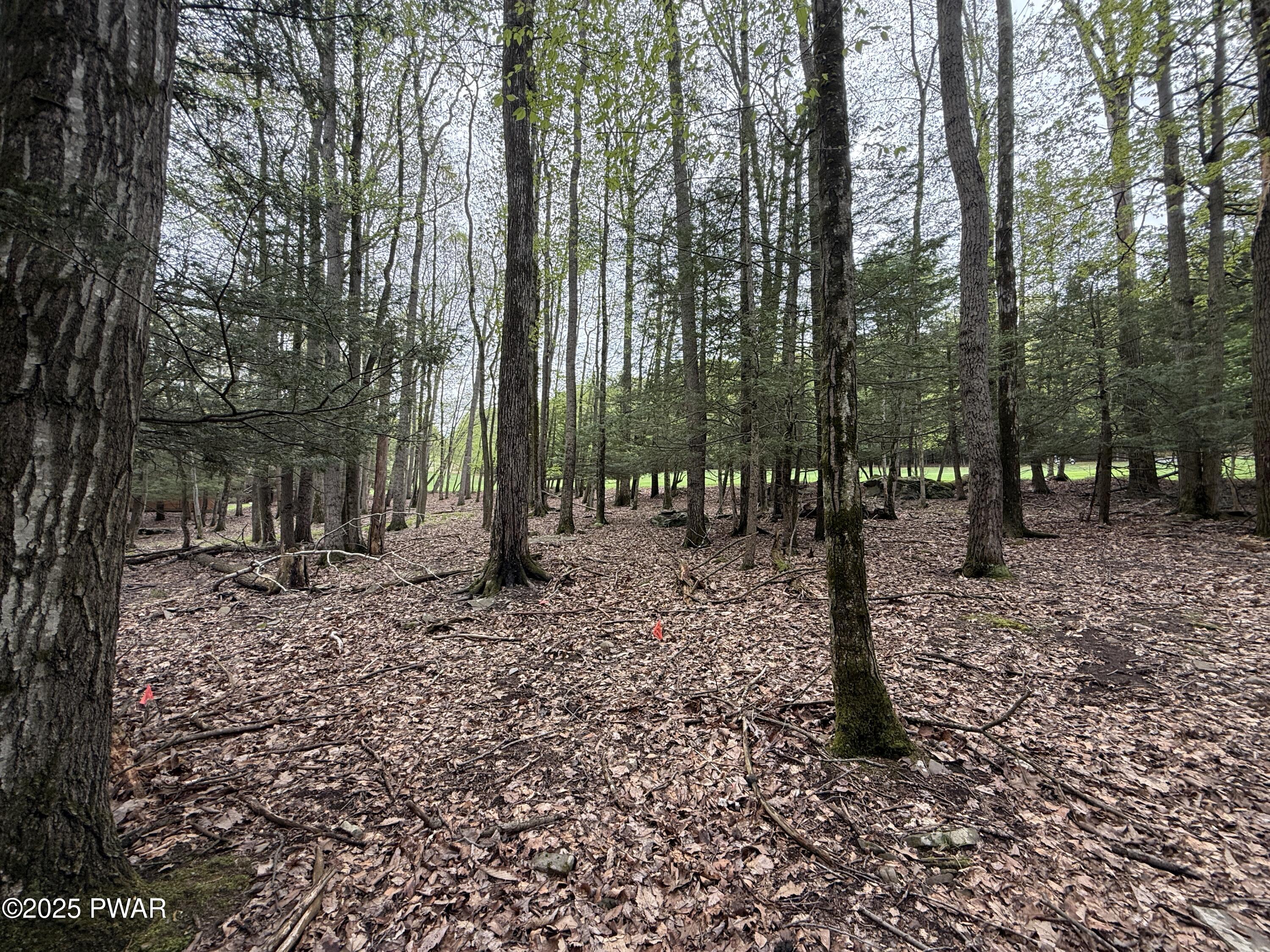 N Evergreen Drive, Greentown, Pennsylvania image 6
