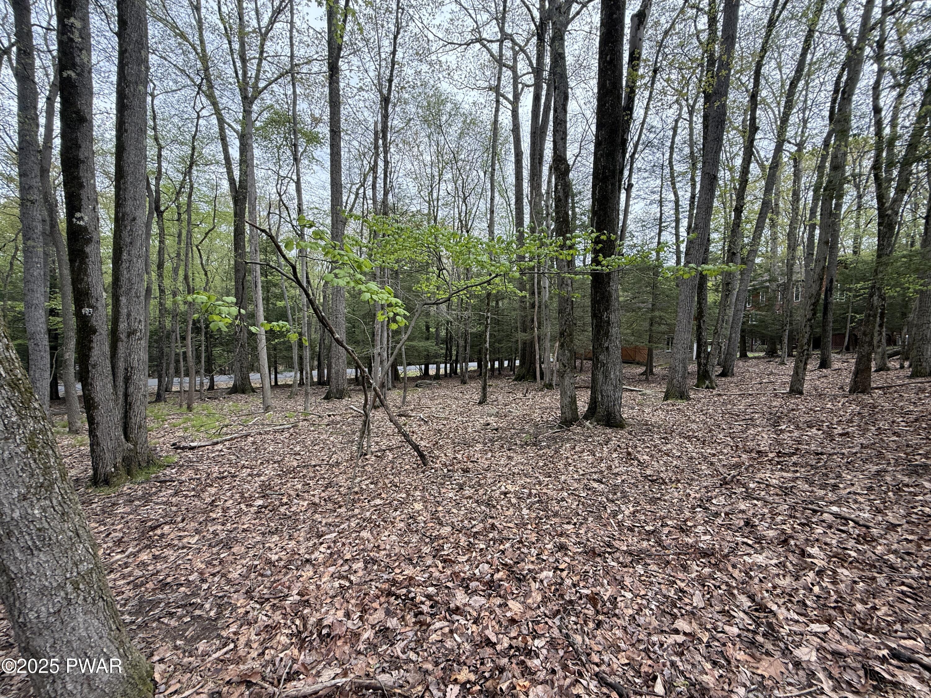 N Evergreen Drive, Greentown, Pennsylvania image 16