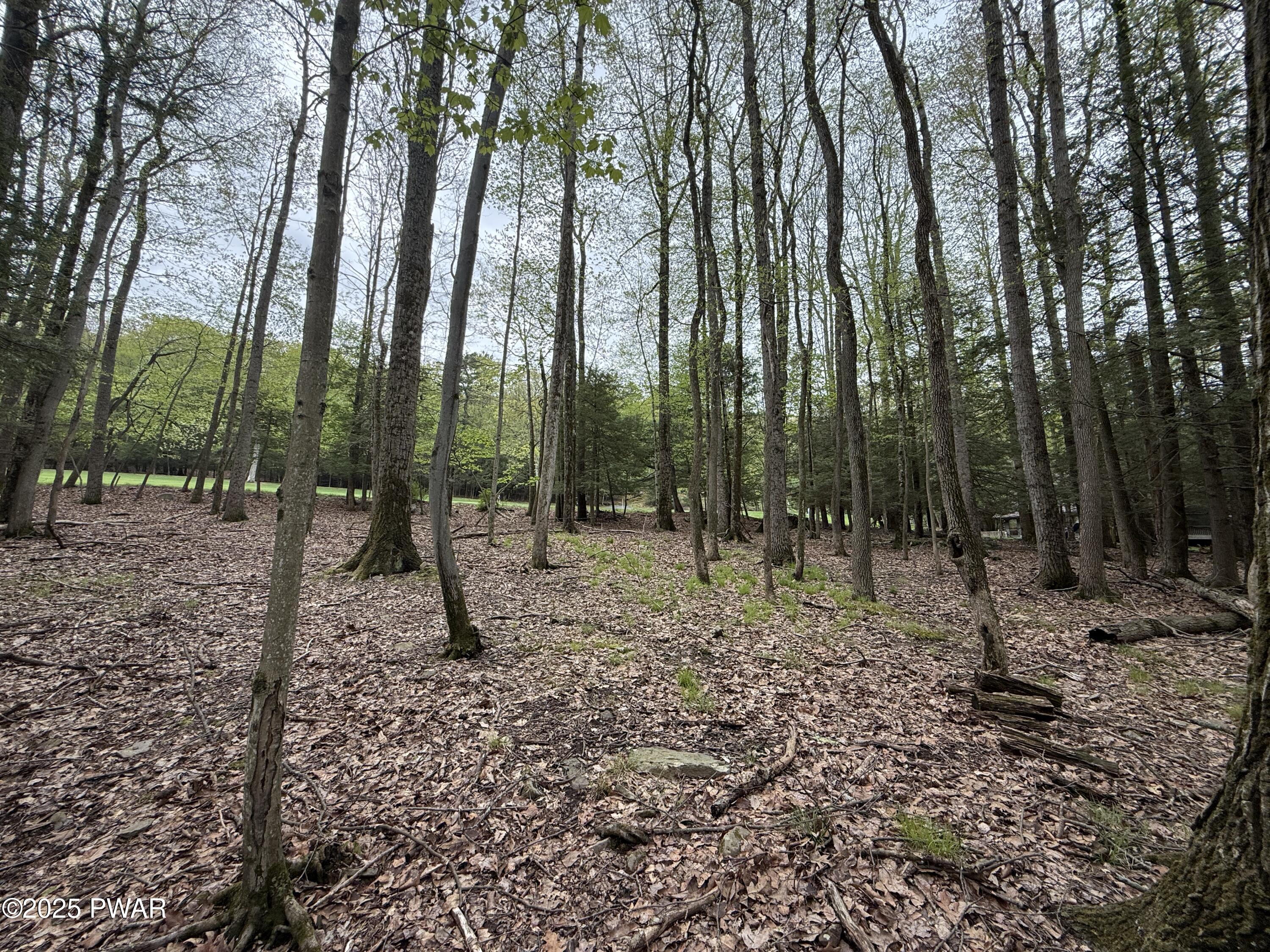 N Evergreen Drive, Greentown, Pennsylvania image 17